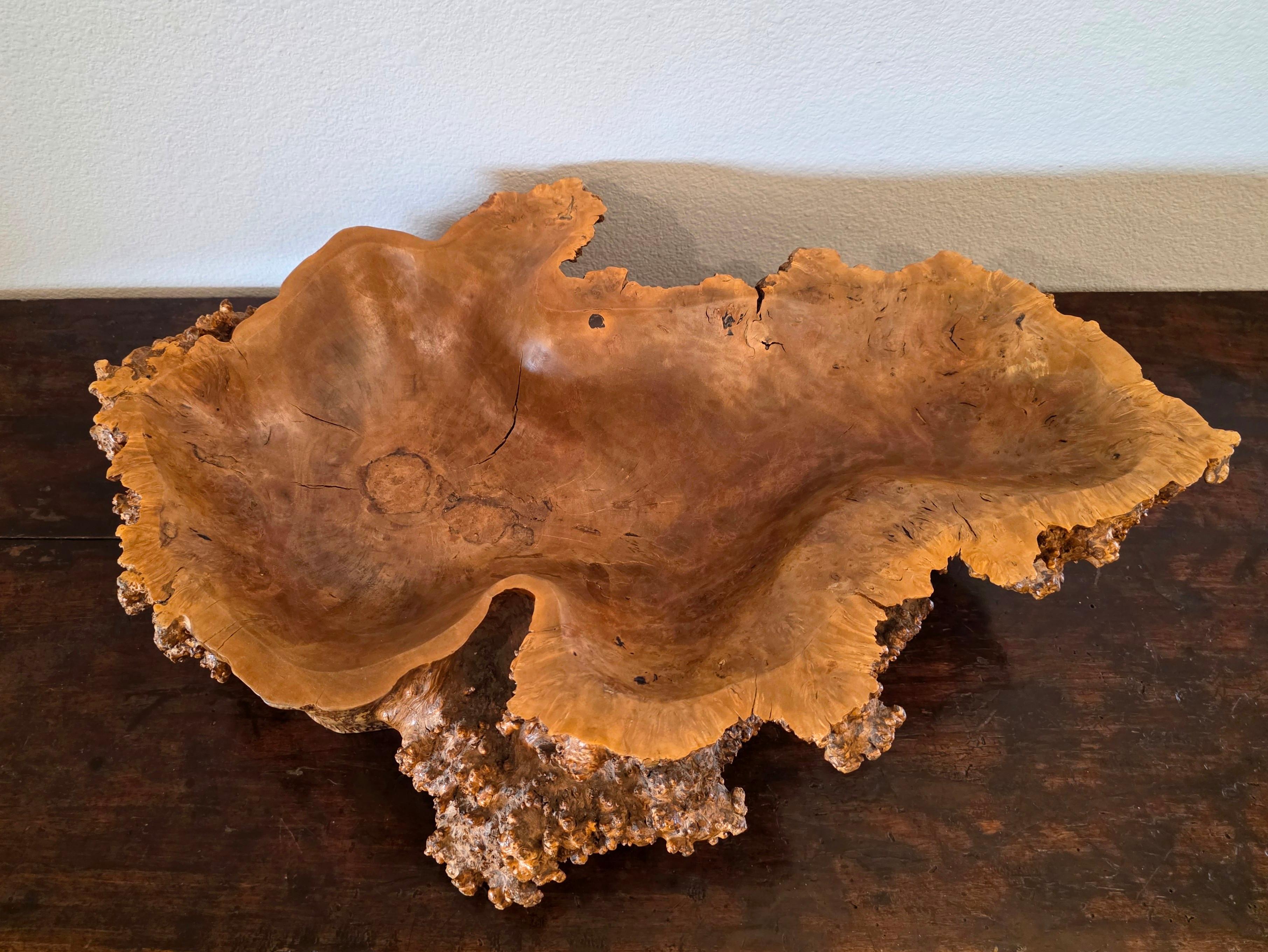 Large Natural Burl Wood Live Edge Carved Bowl Organic Centerpiece Sculpture in vendita 3
