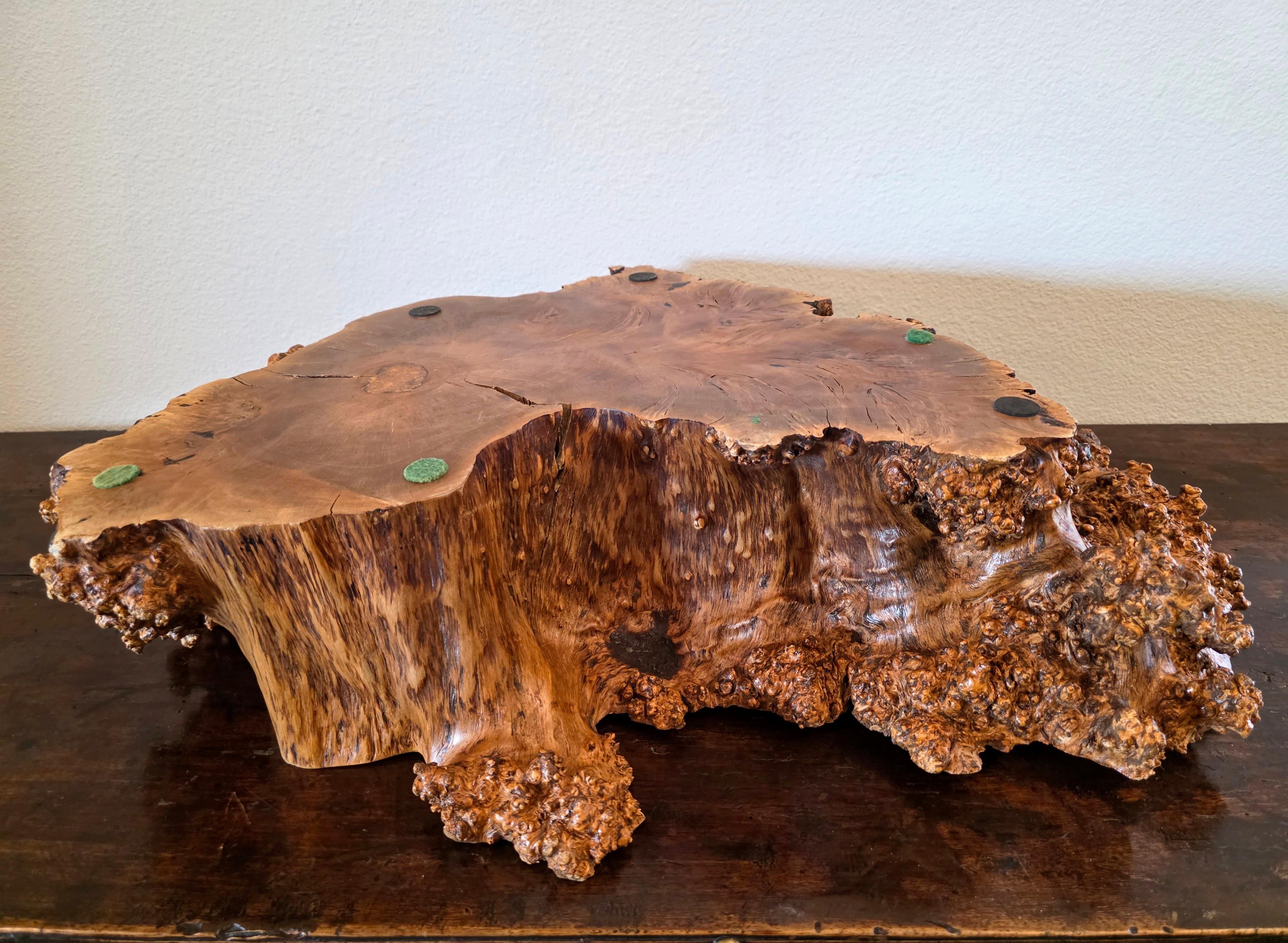 Large Natural Burl Wood Live Edge Carved Bowl Organic Centerpiece Sculpture in vendita 4