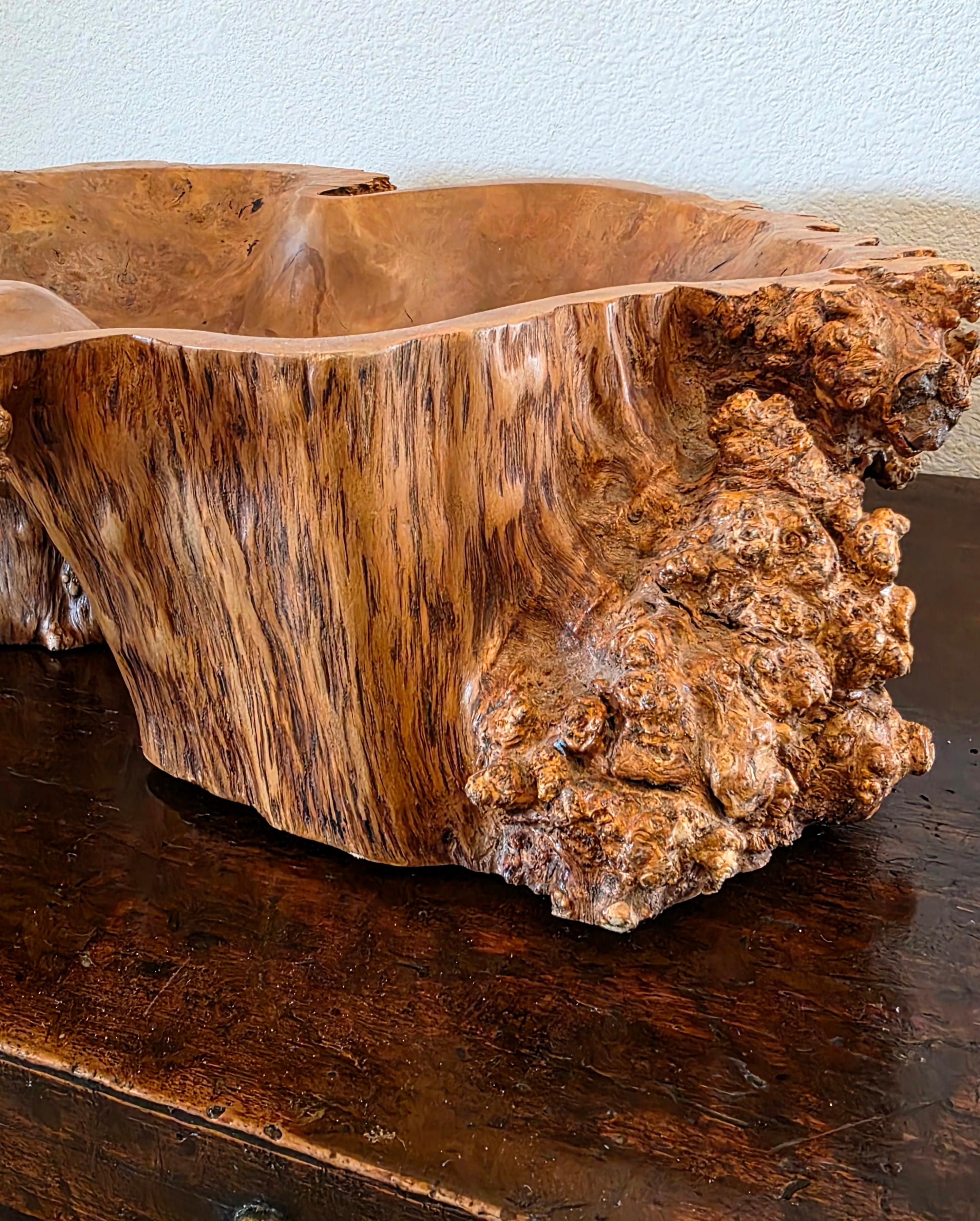 Large Natural Burl Wood Live Edge Carved Bowl Organic Centerpiece Sculpture in vendita 9