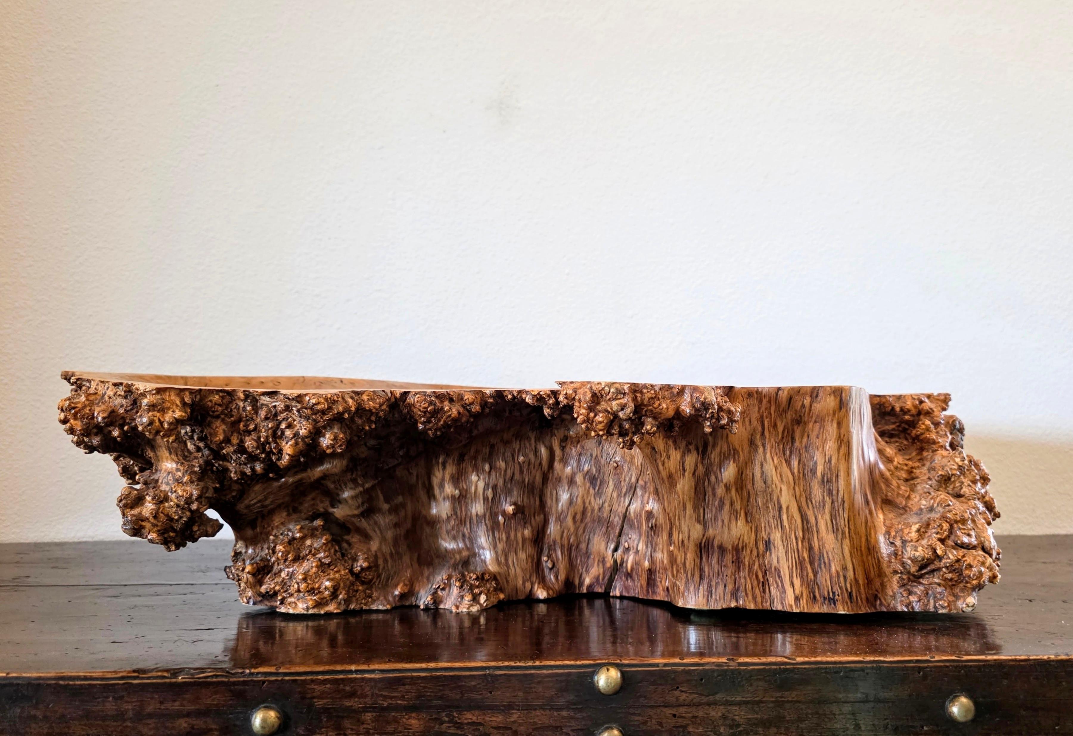 Large Natural Burl Wood Live Edge Carved Bowl Organic Centerpiece Sculpture in vendita 11