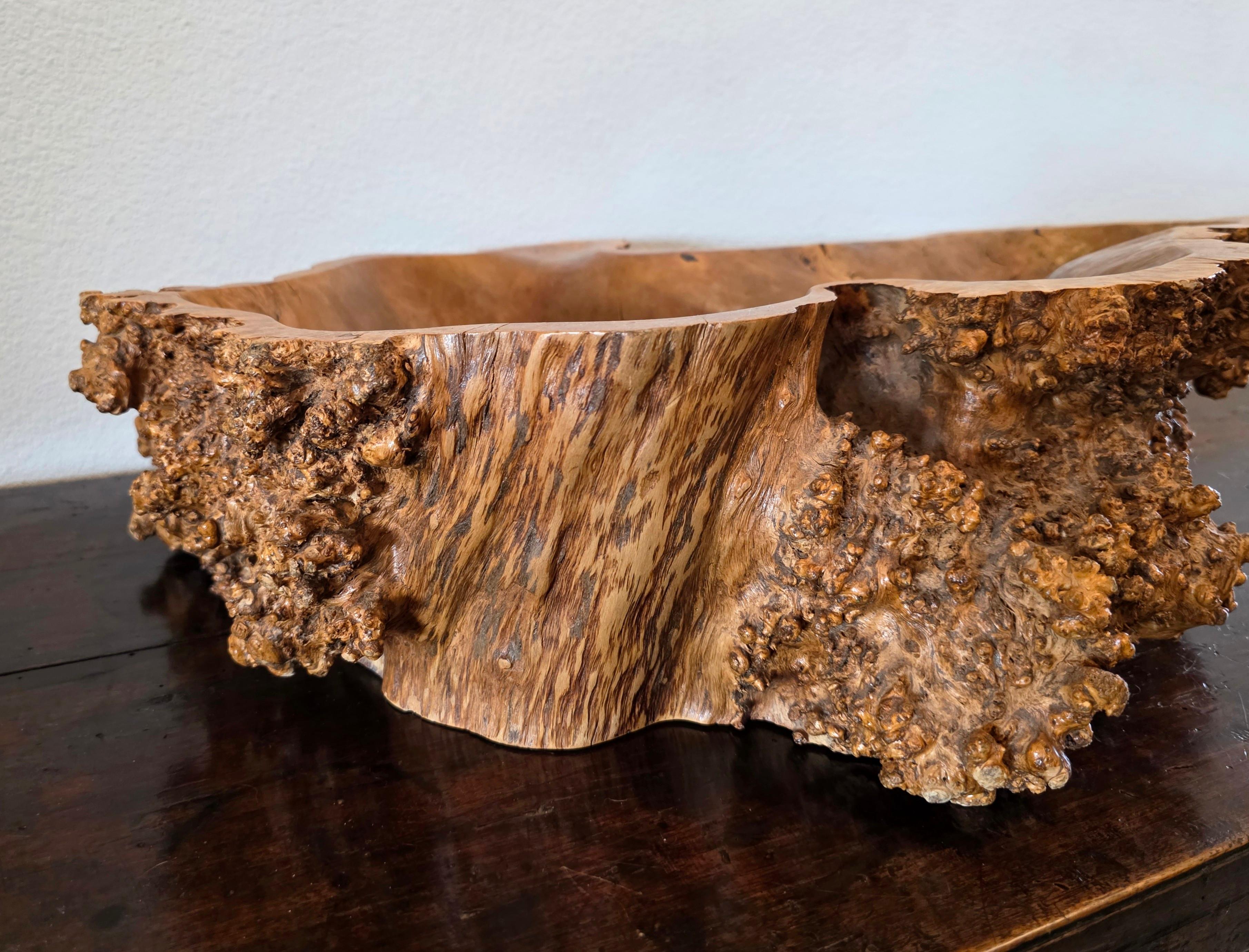 Americano Large Natural Burl Wood Live Edge Carved Bowl Organic Centerpiece Sculpture in vendita