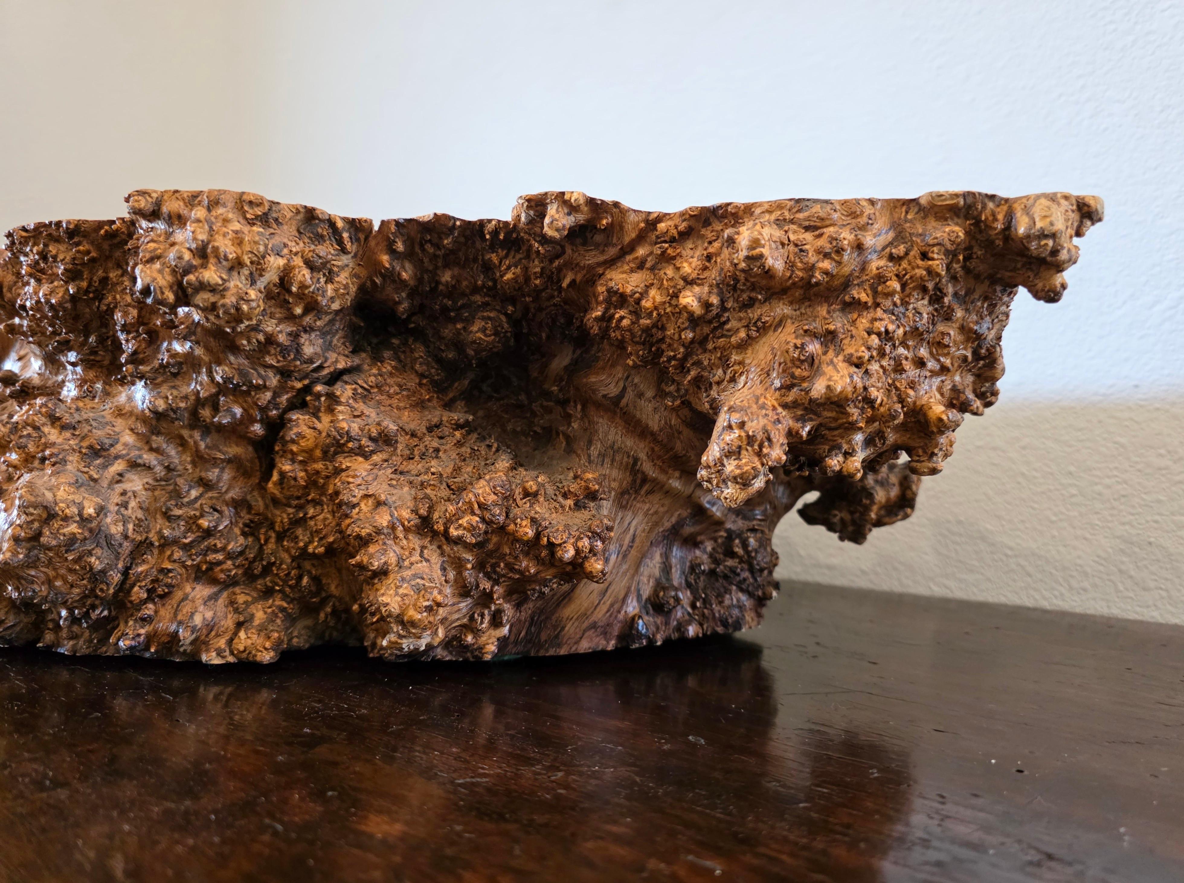 Lucidato Large Natural Burl Wood Live Edge Carved Bowl Organic Centerpiece Sculpture in vendita