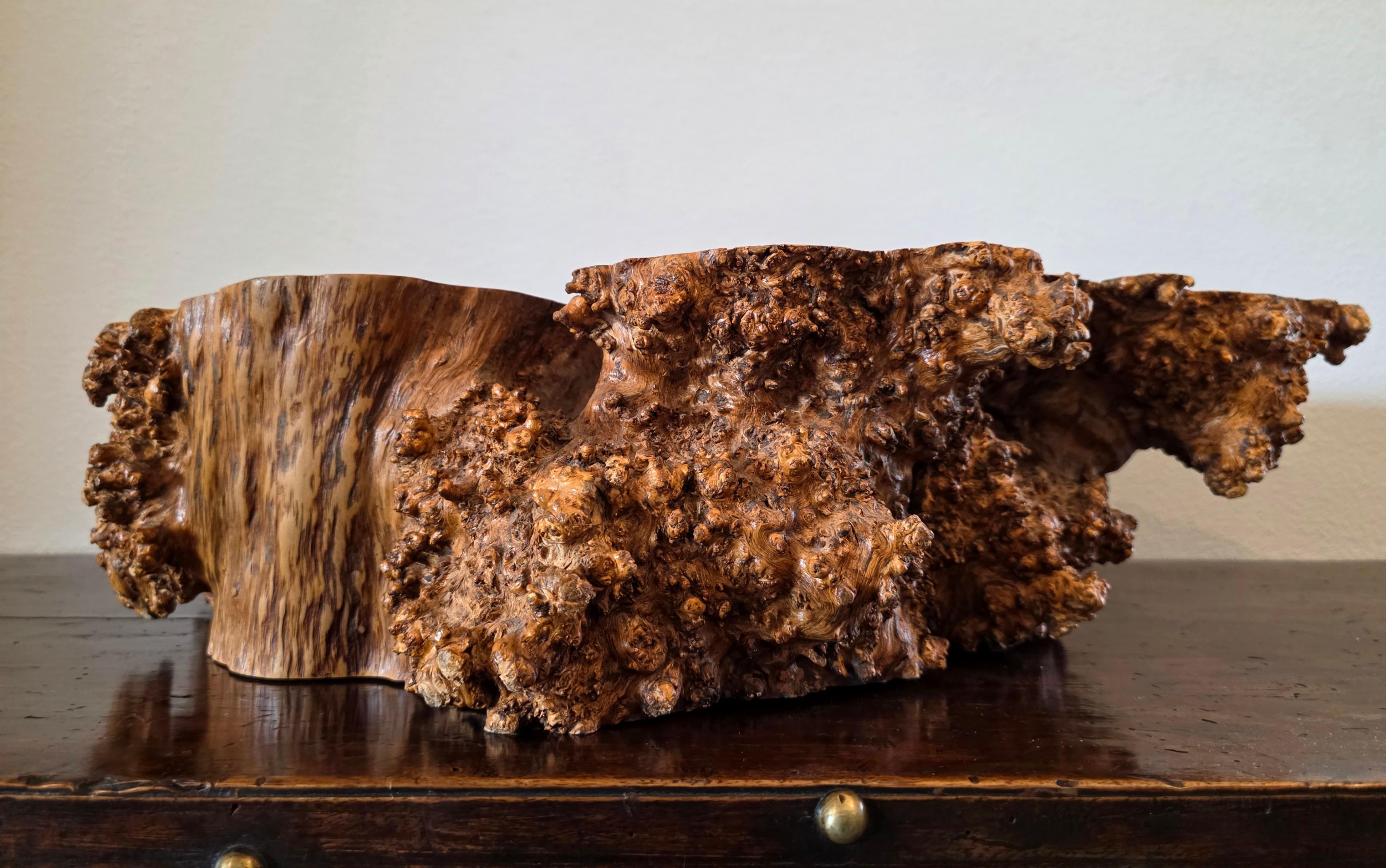 XX secolo Large Natural Burl Wood Live Edge Carved Bowl Organic Centerpiece Sculpture in vendita