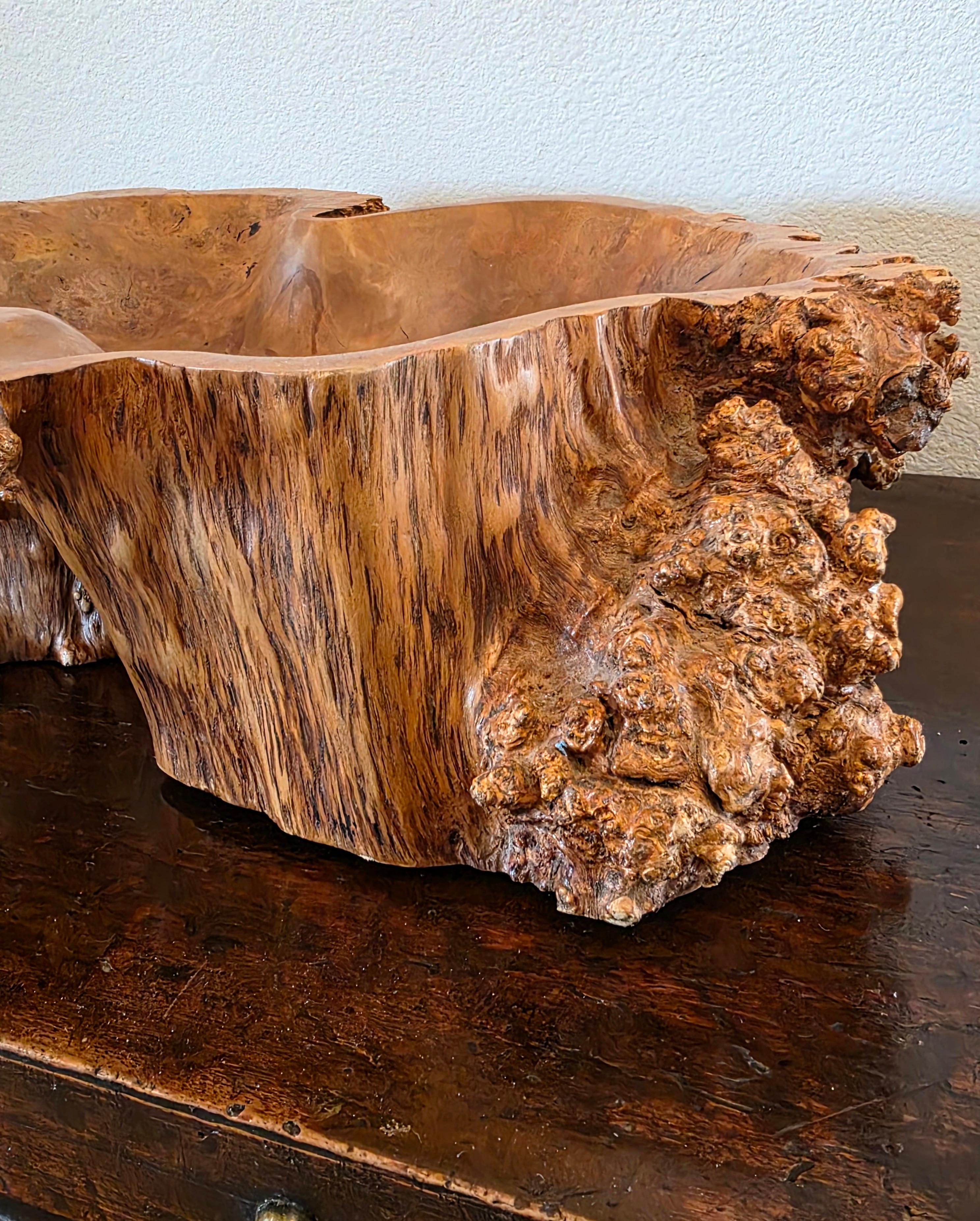Nodo Large Natural Burl Wood Live Edge Carved Bowl Organic Centerpiece Sculpture in vendita