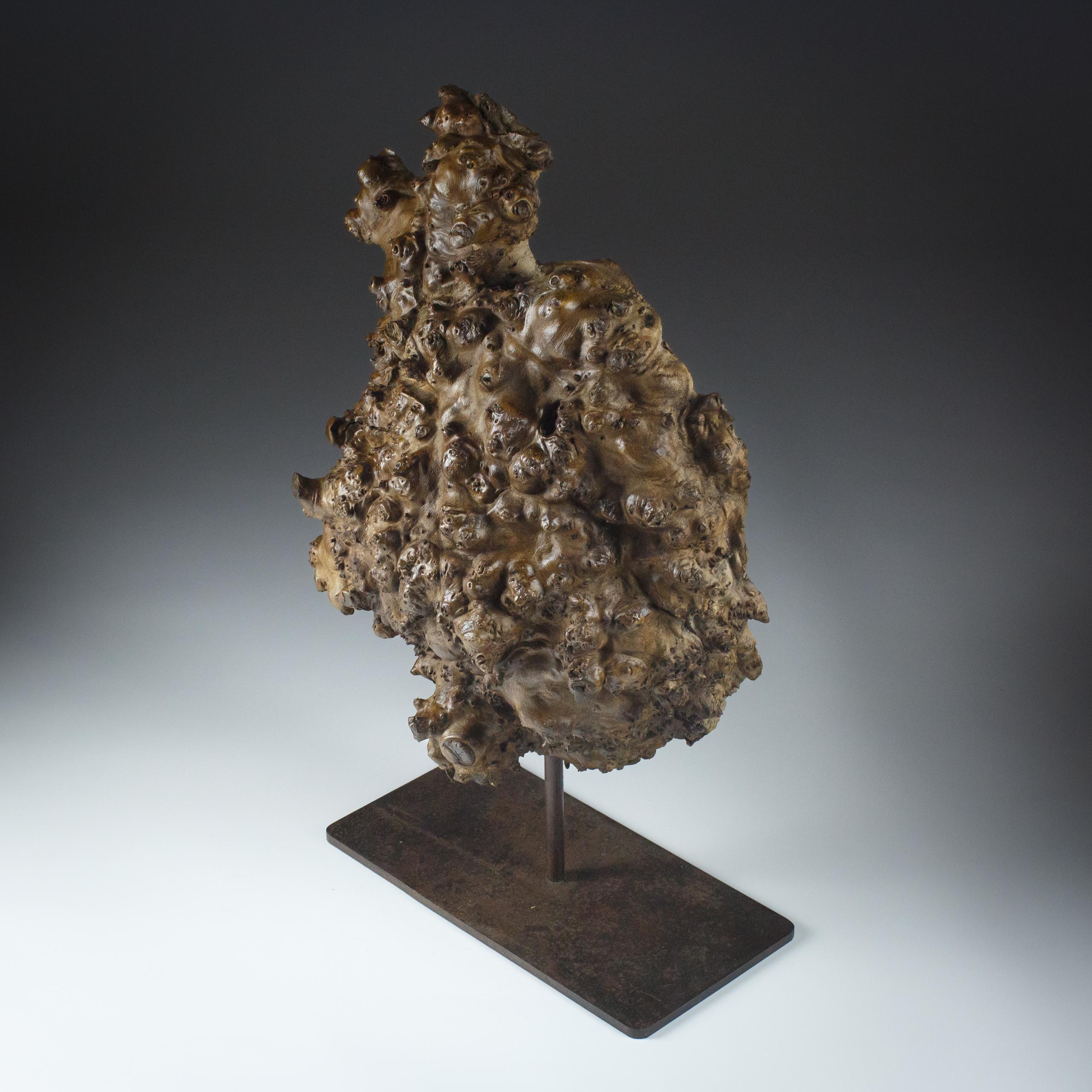 Große natürliche Wurzelholz Skulptur im Angebot 1