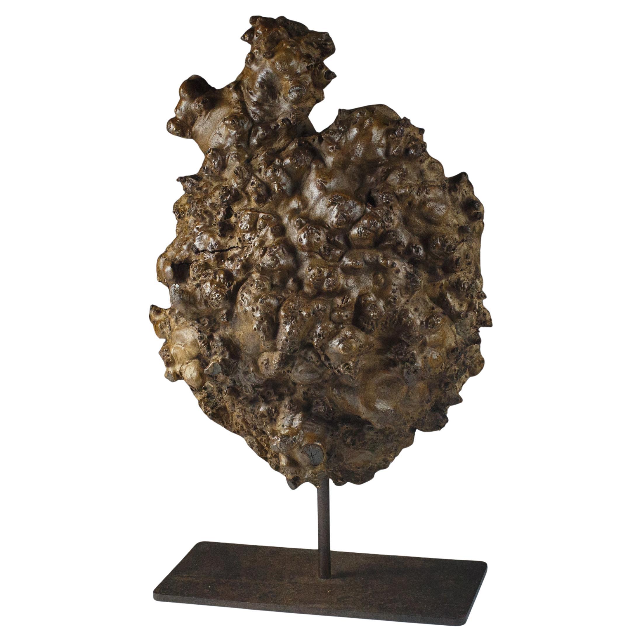 Große natürliche Wurzelholz Skulptur im Angebot