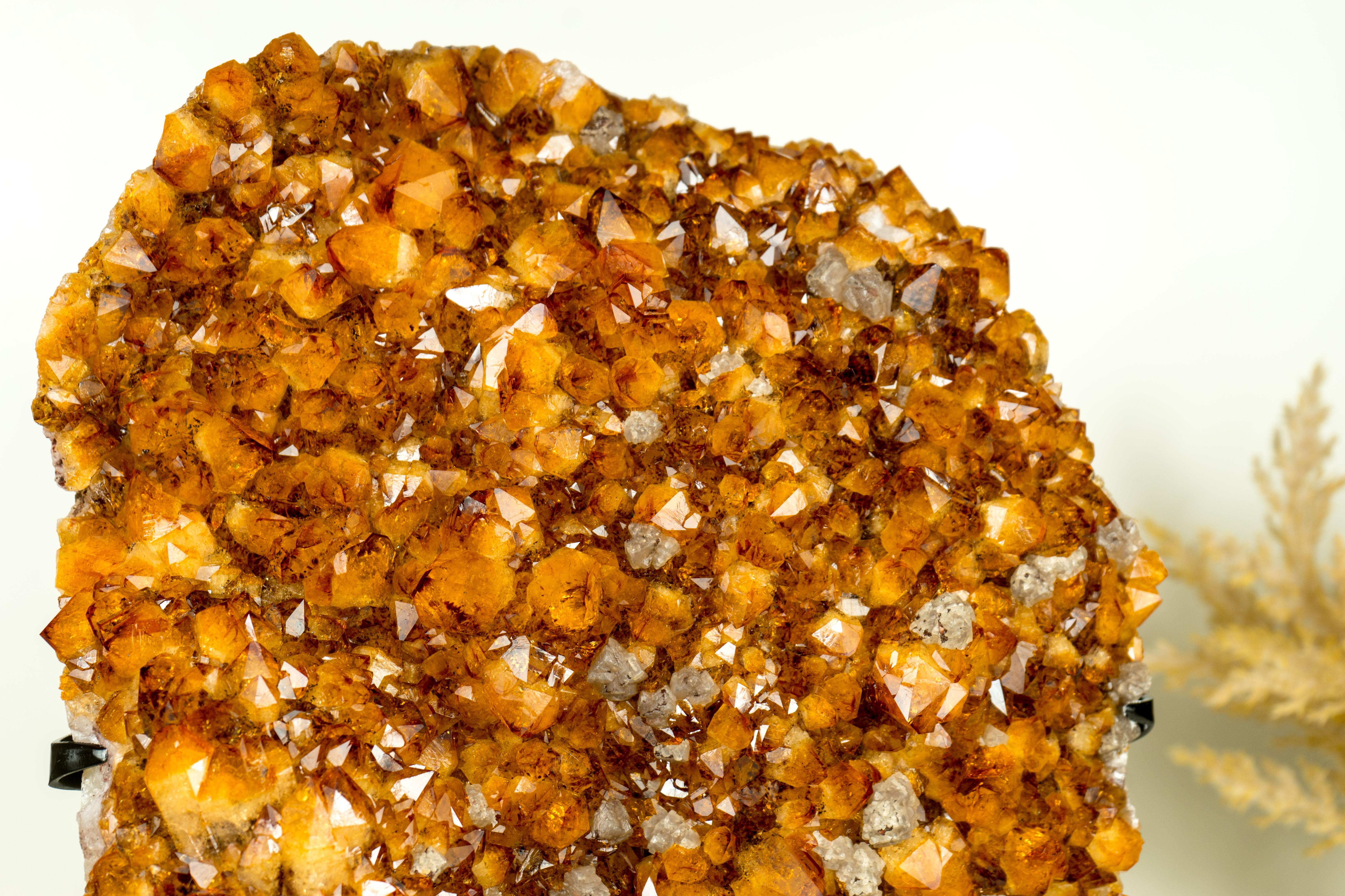 Large Natural Citrine Cluster, High-Grade Orange Druzy with Goethite and Calcite For Sale 7
