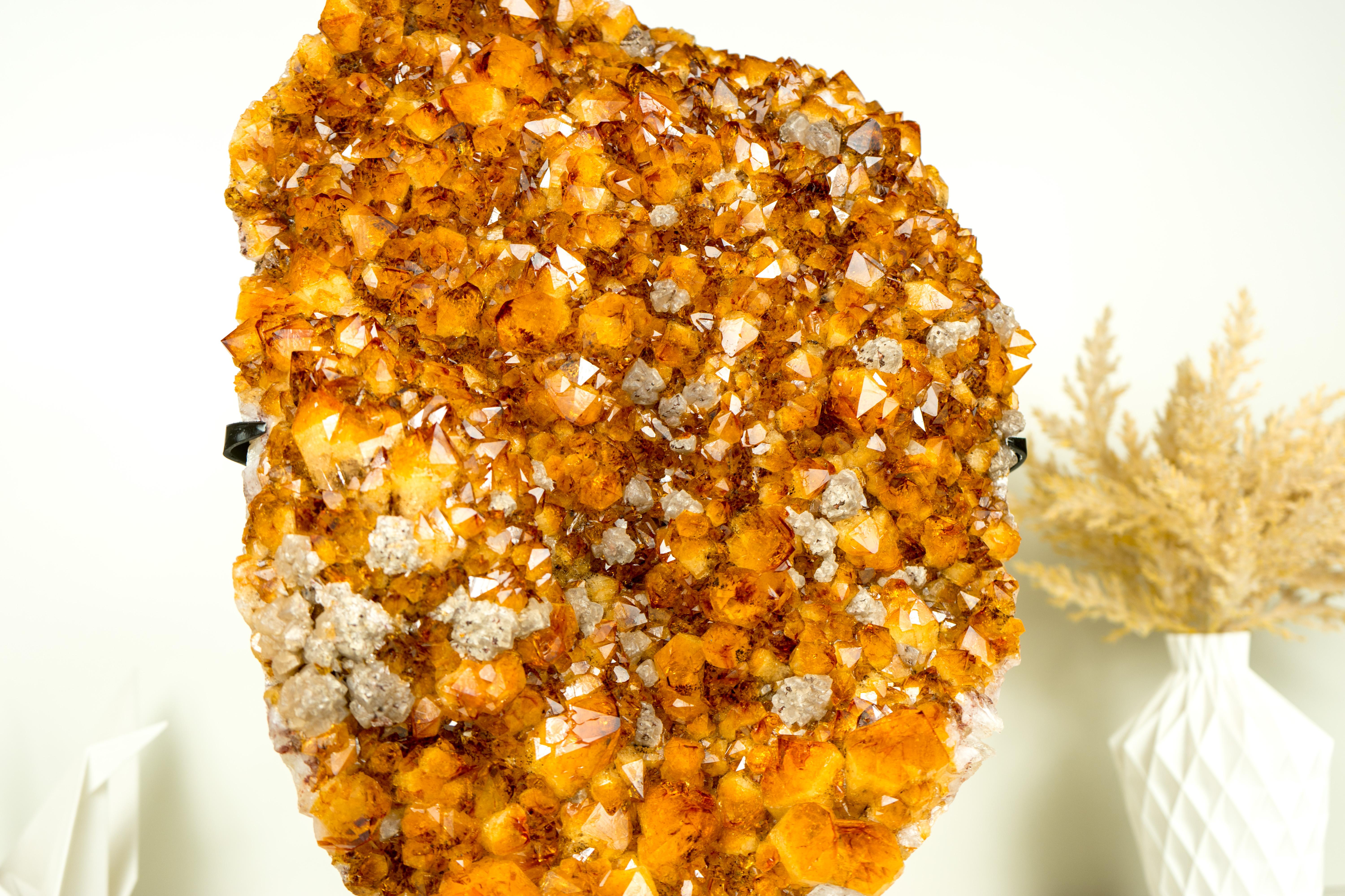 Outstanding in beauty, this Citrine specimen shows us a perfect example of what a Super Extra (AAA Quality) Citrine should look like. It brings us a Deep Orange color tone and the Intact points are clustered on a crown format, making the orange