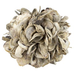 Retro Large Natural Oyster Shell Sphere Sculpture