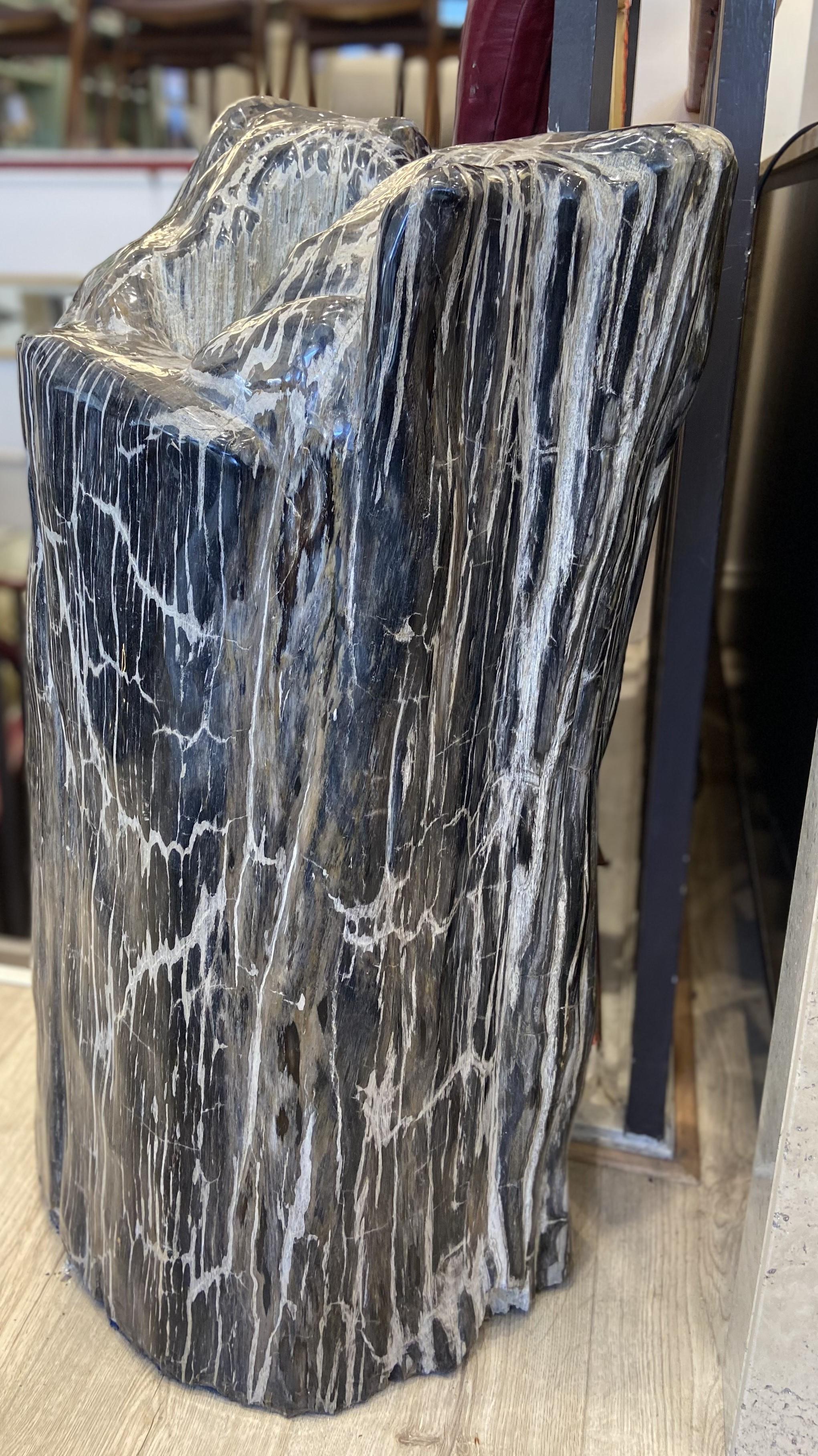 Madera Petrificada Natural Grande Inglés en venta