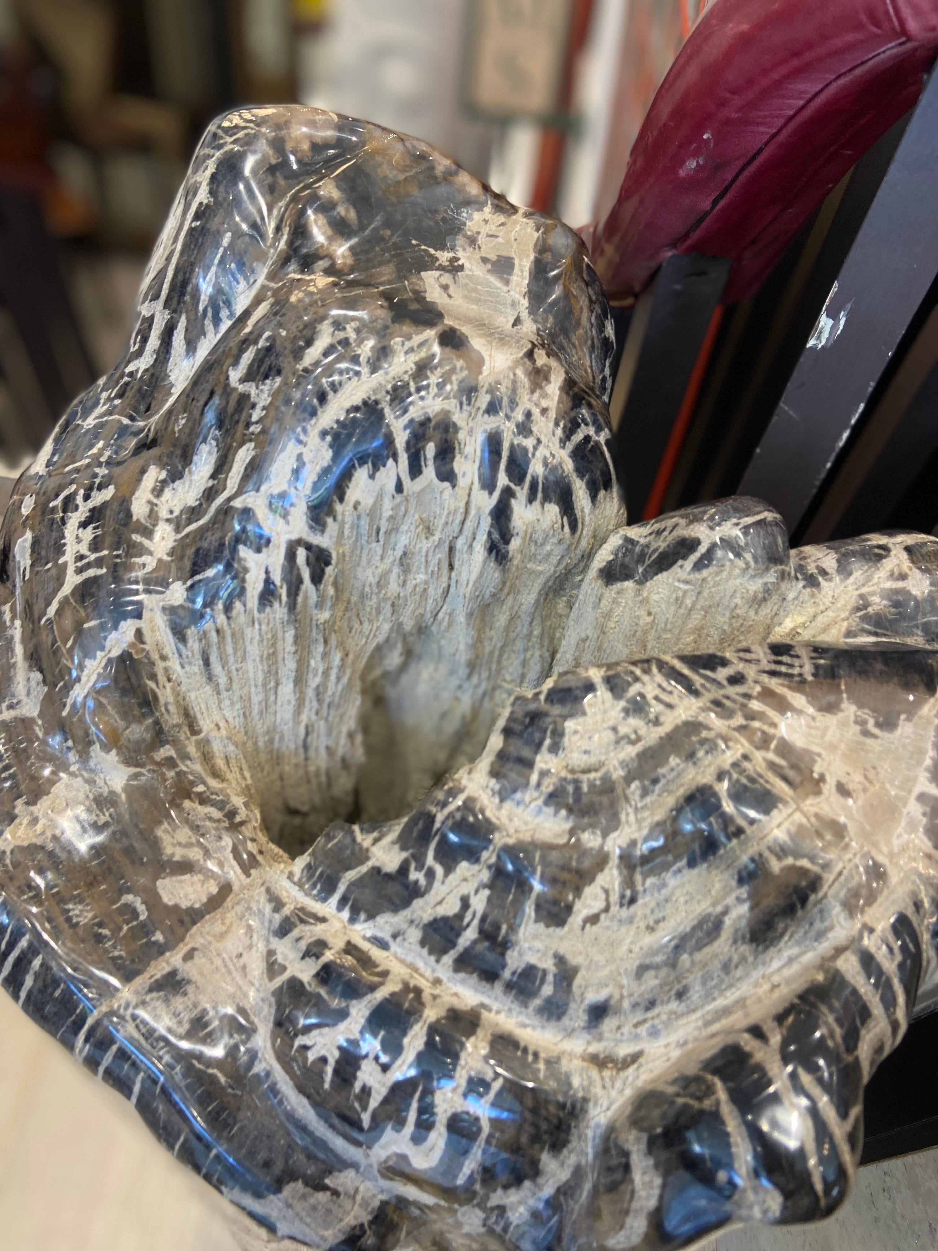 Madera Petrificada Natural Grande en Bueno estado para la venta en London, GB
