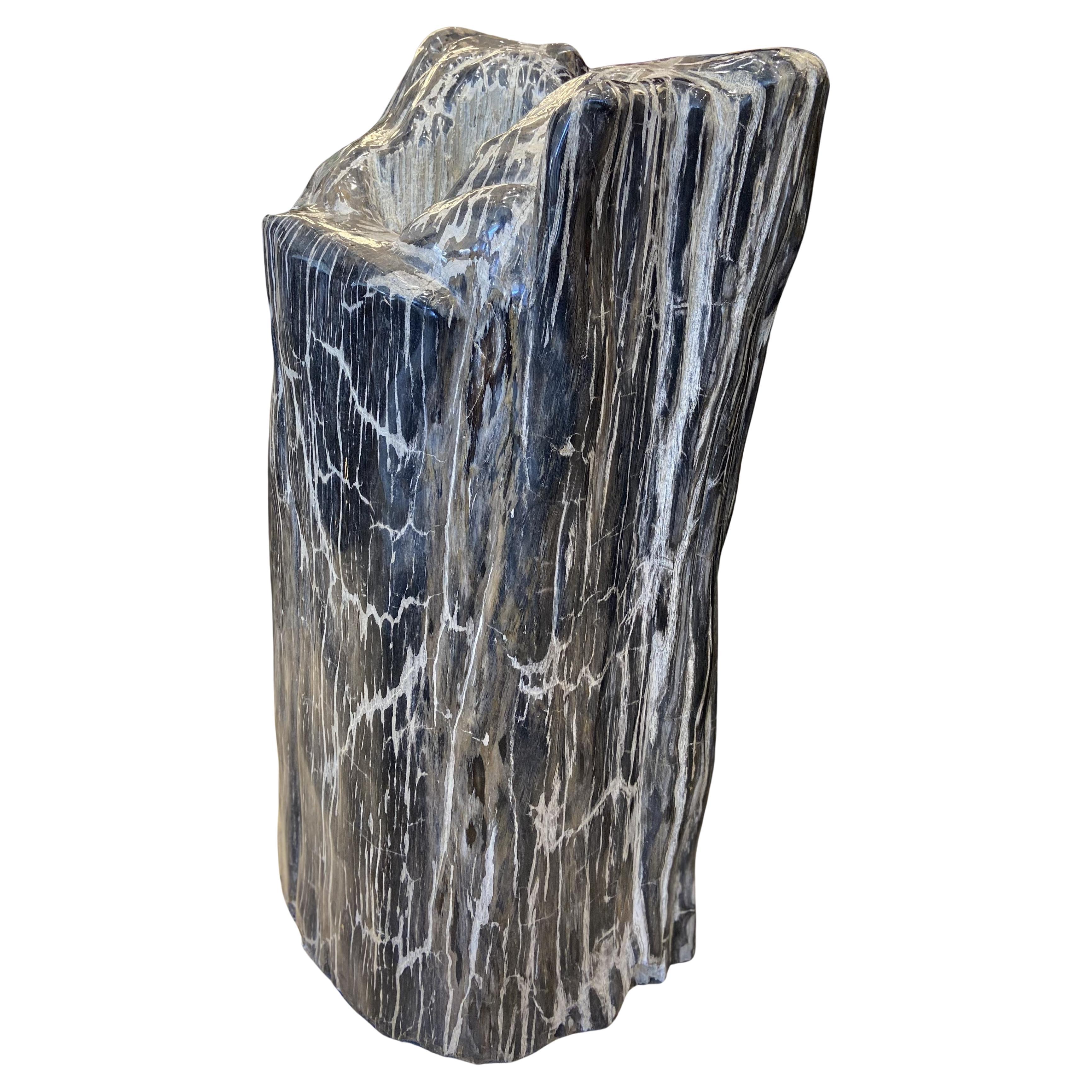 Madera Petrificada Natural Grande