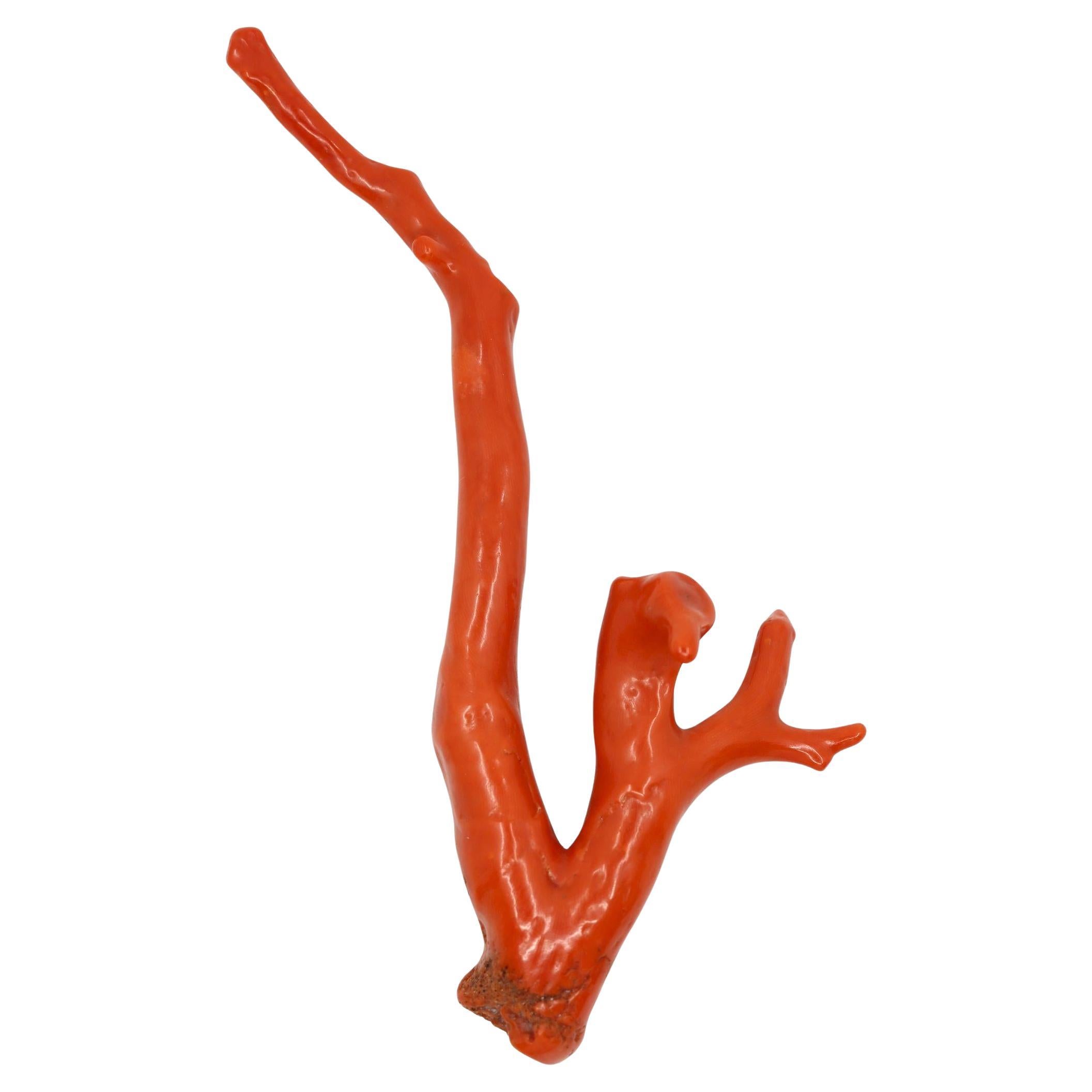 Large Natural Red Coral Branch  Pendant