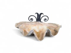 Large Natural Sea Shell Wall Sculpture with Iron Mount fountain