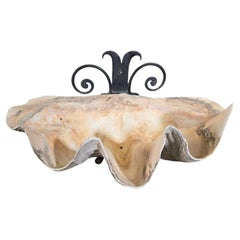 Large Natural Sea Shell Wall Sculpture with Iron Mount fountain