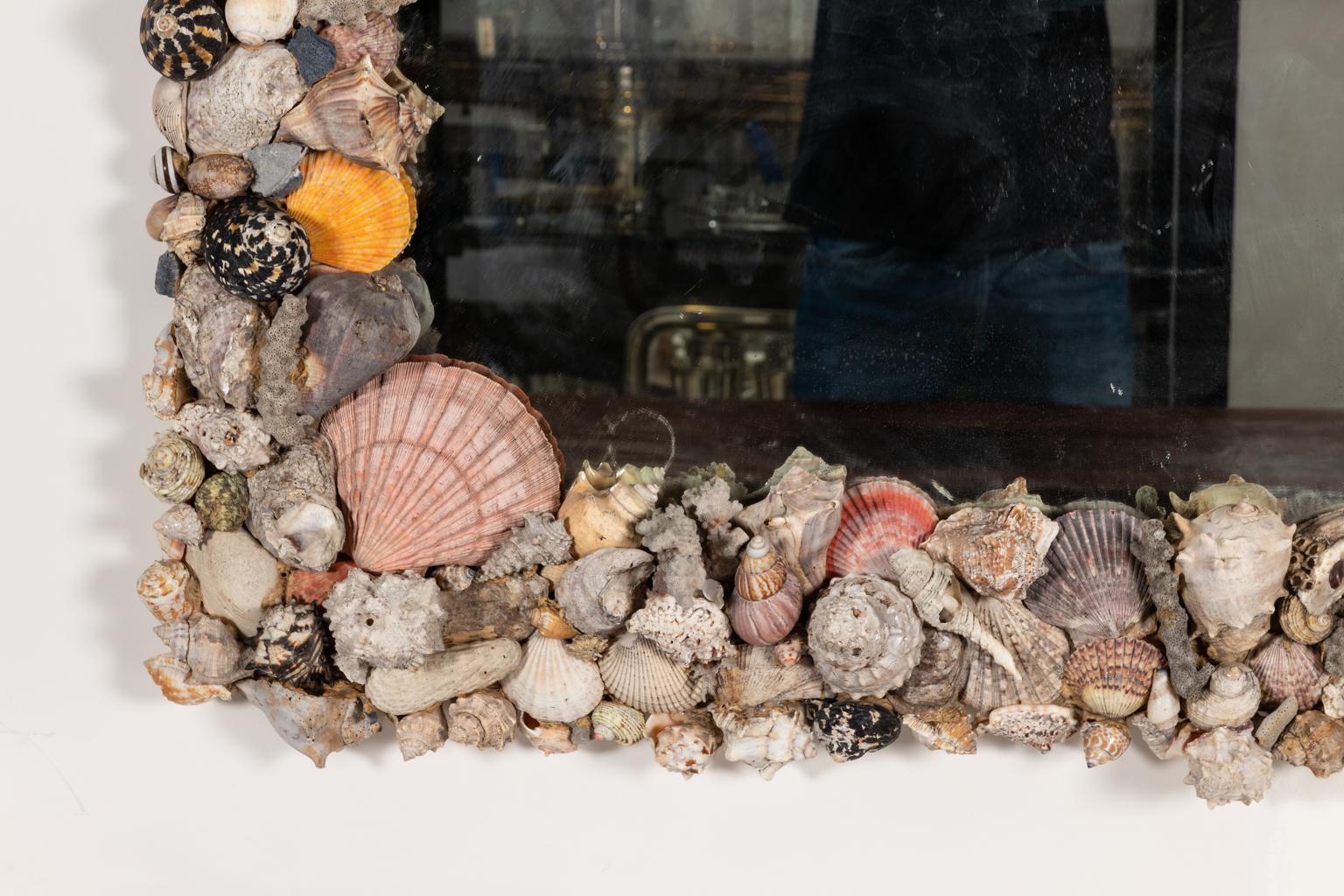 Large natural shell and coral mirror composed of different specimens in various shapes and sizes.
 