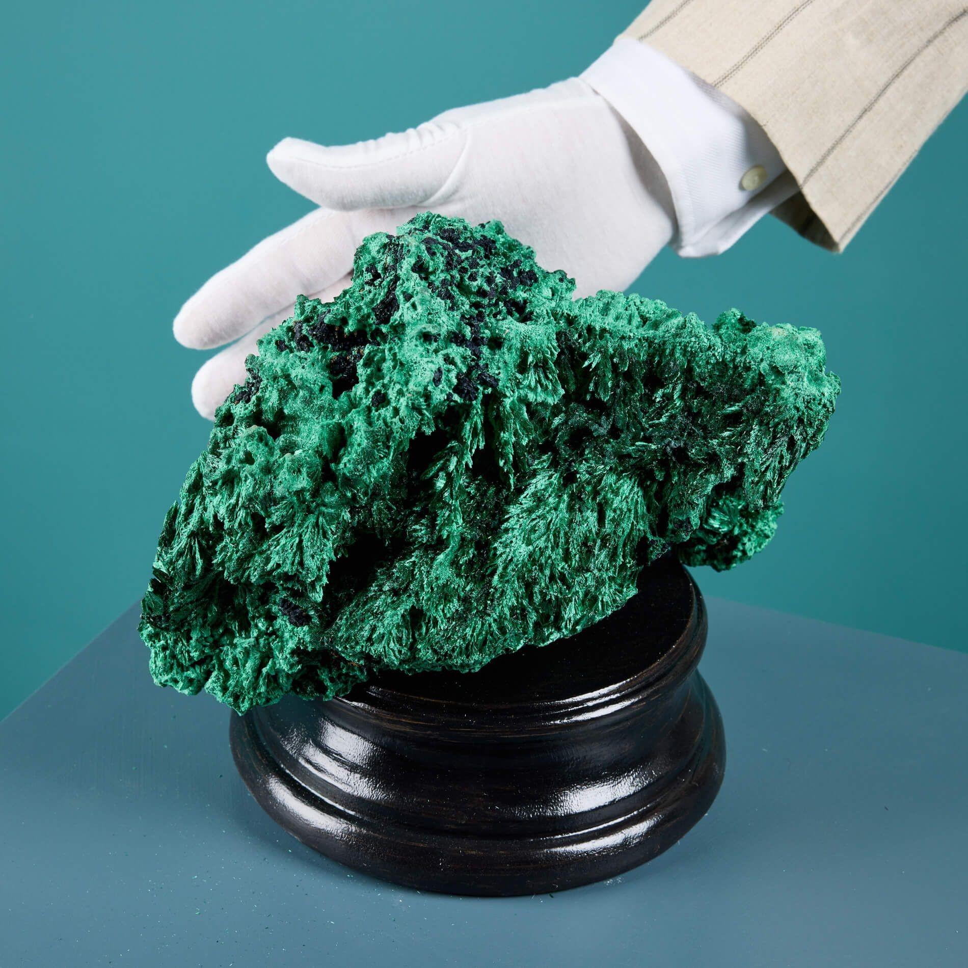 A large natural silky or fibrous malachite originating from Congo. Silky Malachite, which is a copper ore, is known for its rosette crystalline formation, and are often sparkling in appearance.

This exceptional mineral has a striking form that has