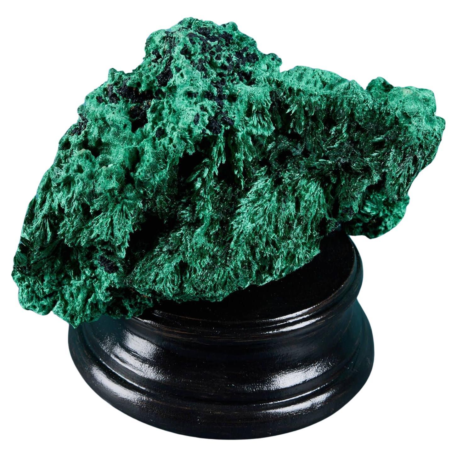 Large Natural Silky or Fibrous Malachite Specimen For Sale