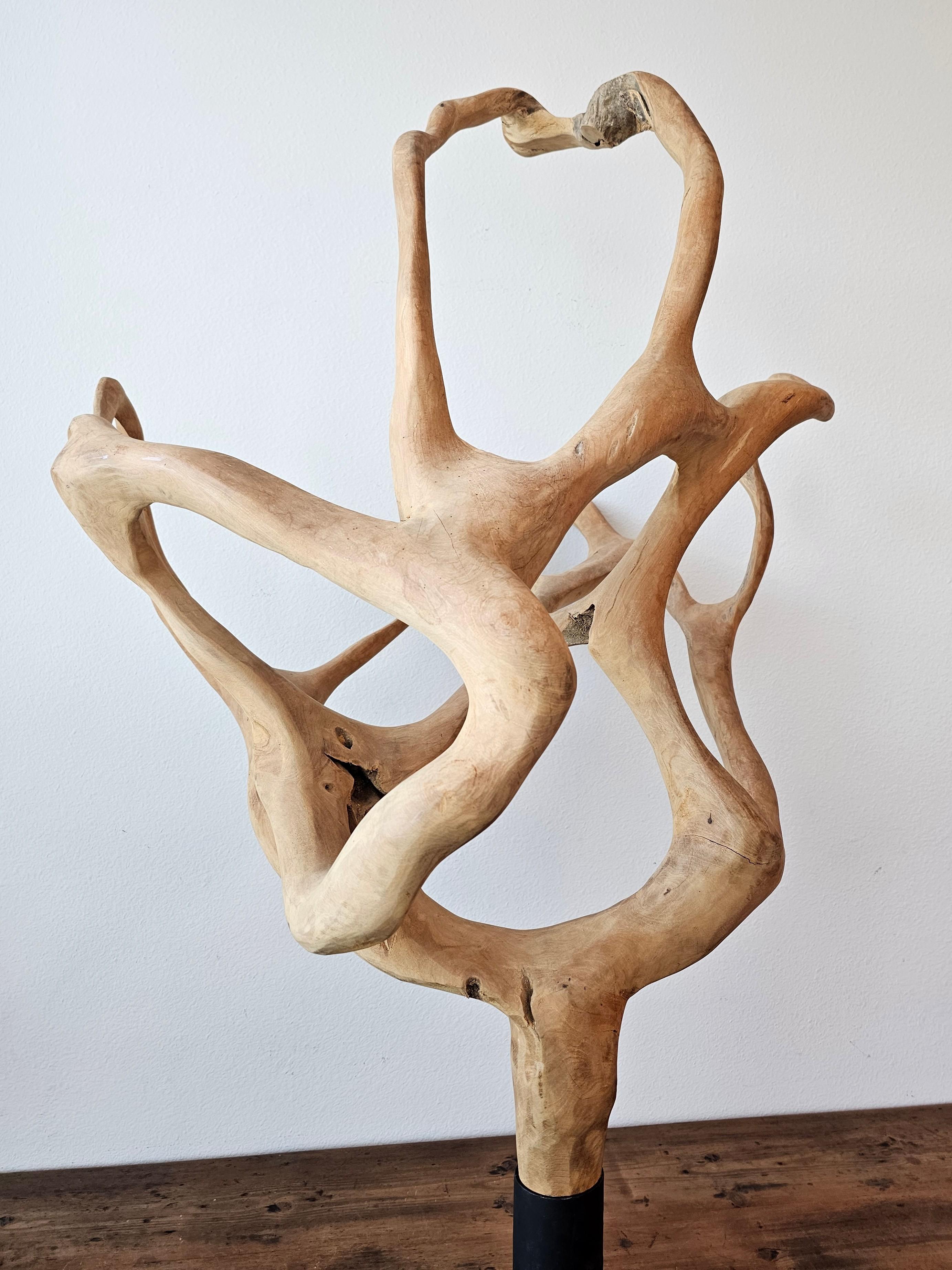 Escultura grande de madera de raíz de teca natural en venta 3