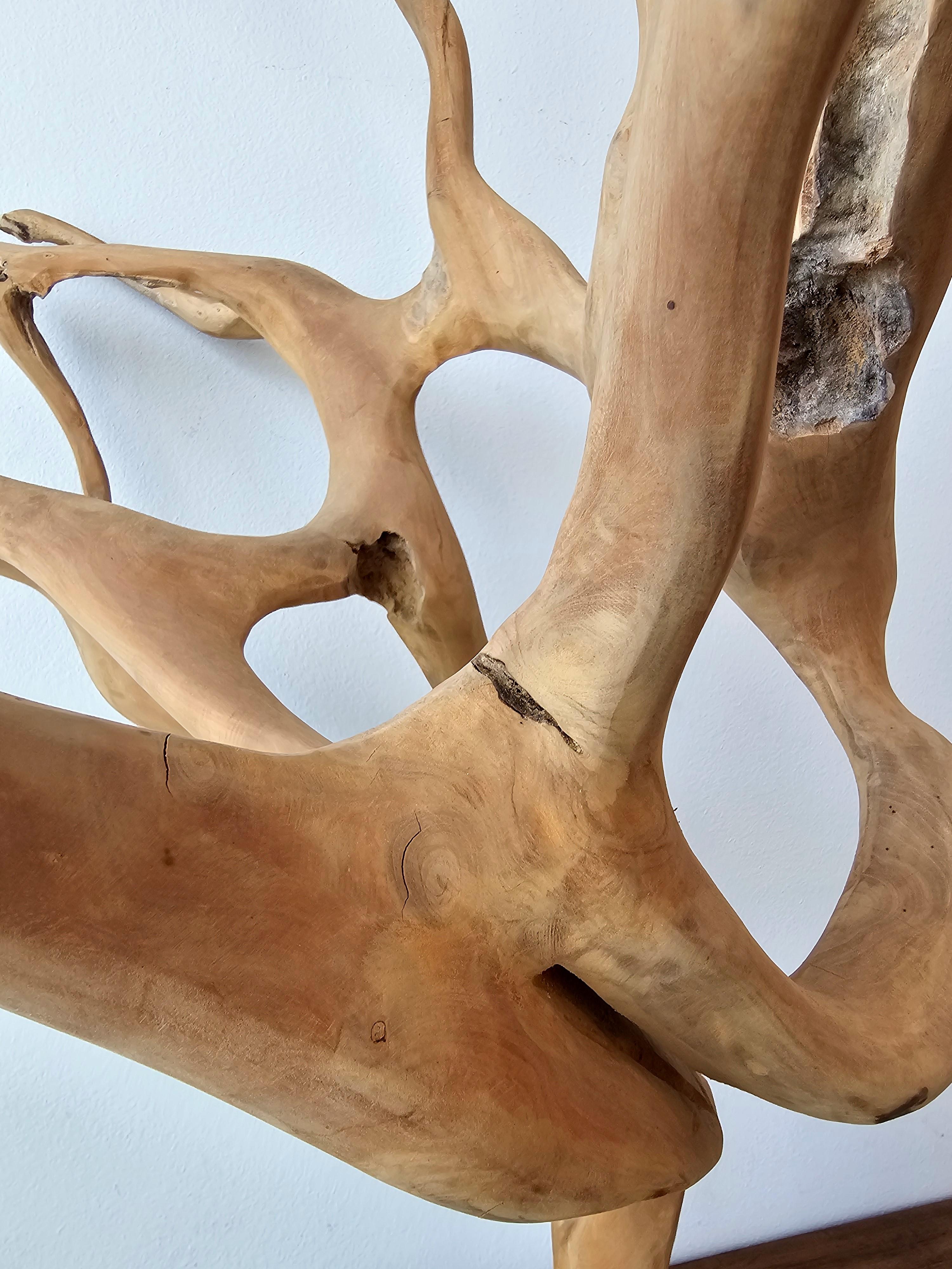 Escultura grande de madera de raíz de teca natural en venta 7