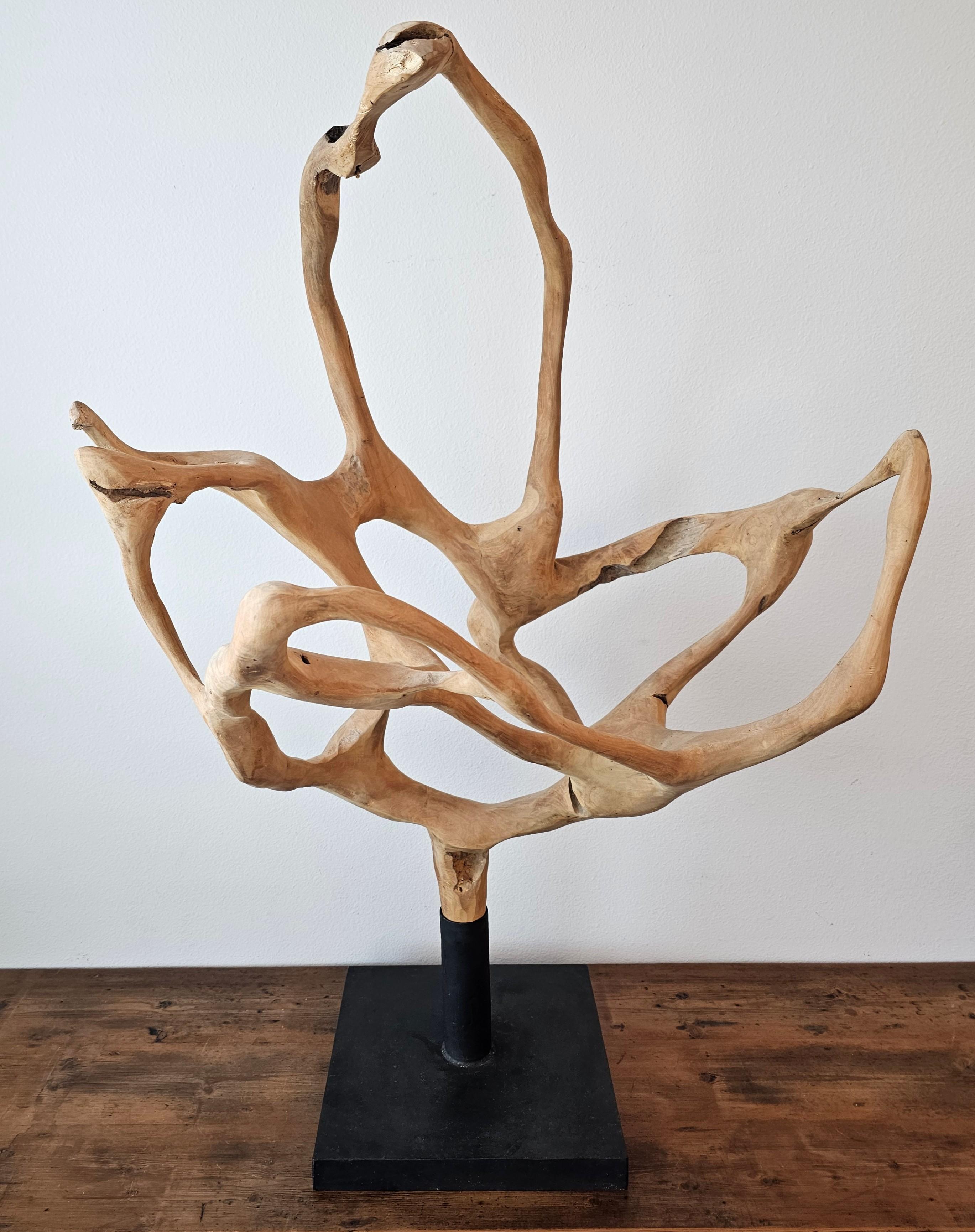 Escultura grande de madera de raíz de teca natural Minimalista en venta