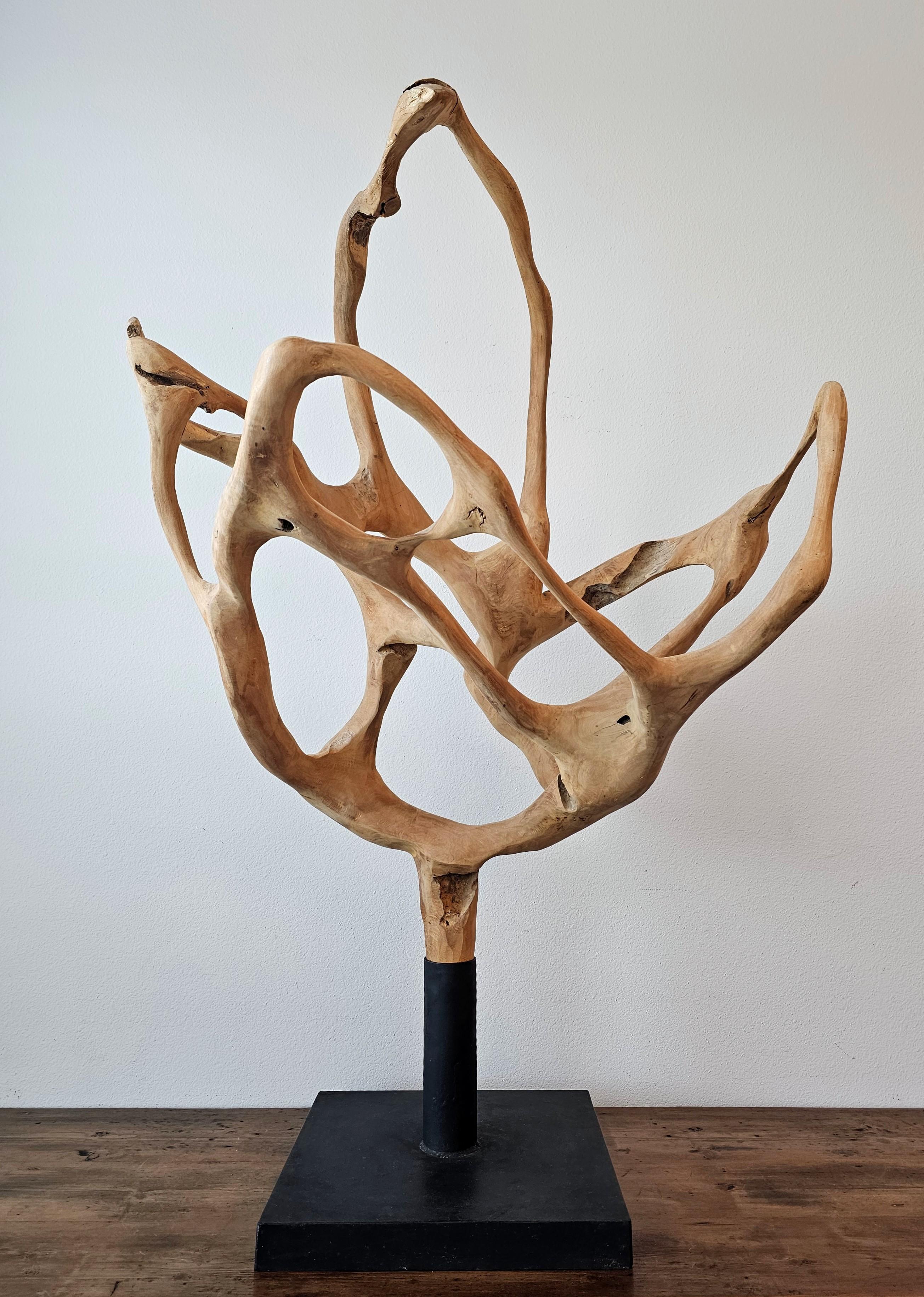 Escultura grande de madera de raíz de teca natural Tallado a mano en venta