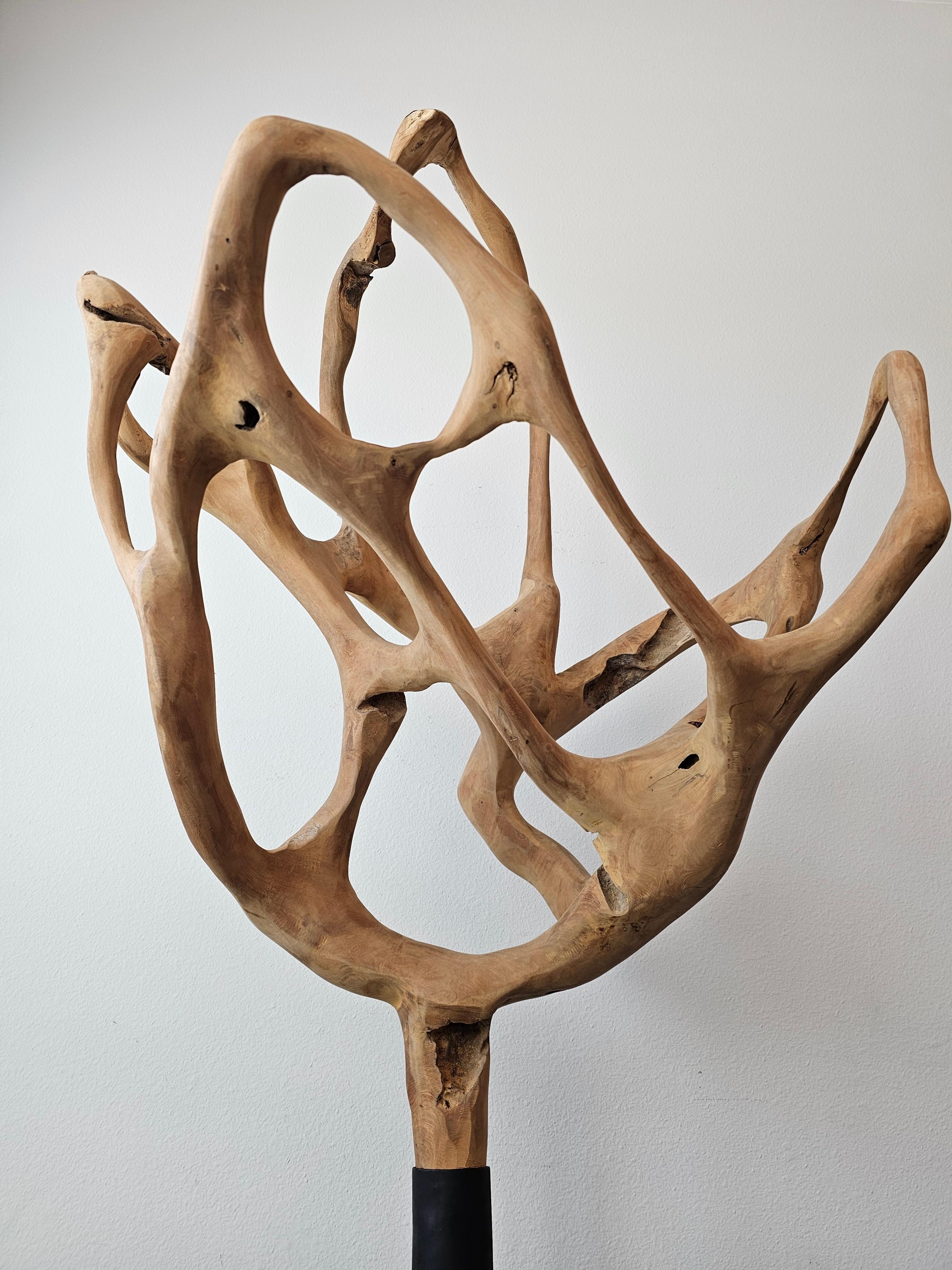 Escultura grande de madera de raíz de teca natural en Bueno estado para la venta en Forney, TX