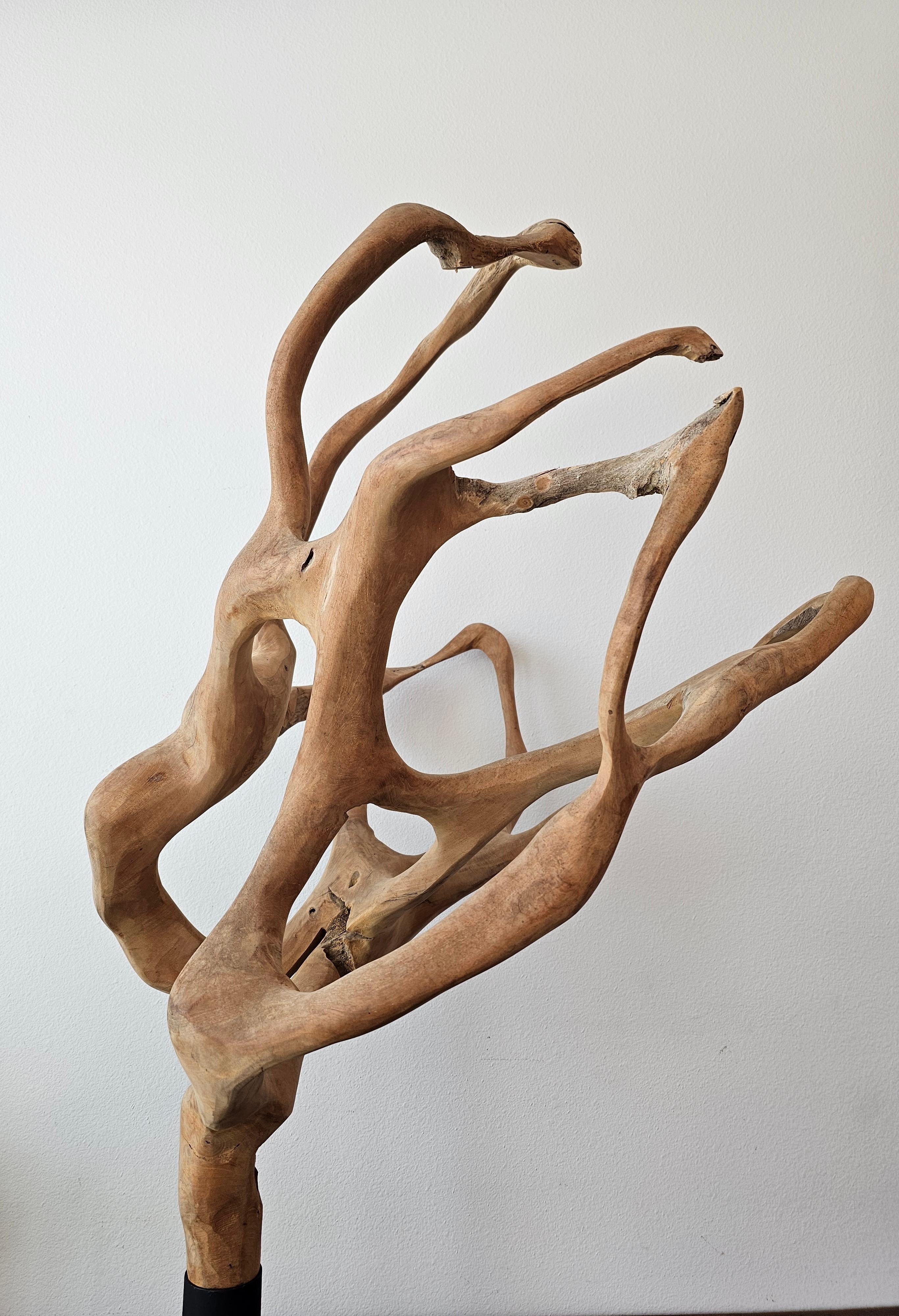 Escultura grande de madera de raíz de teca natural siglo XX en venta