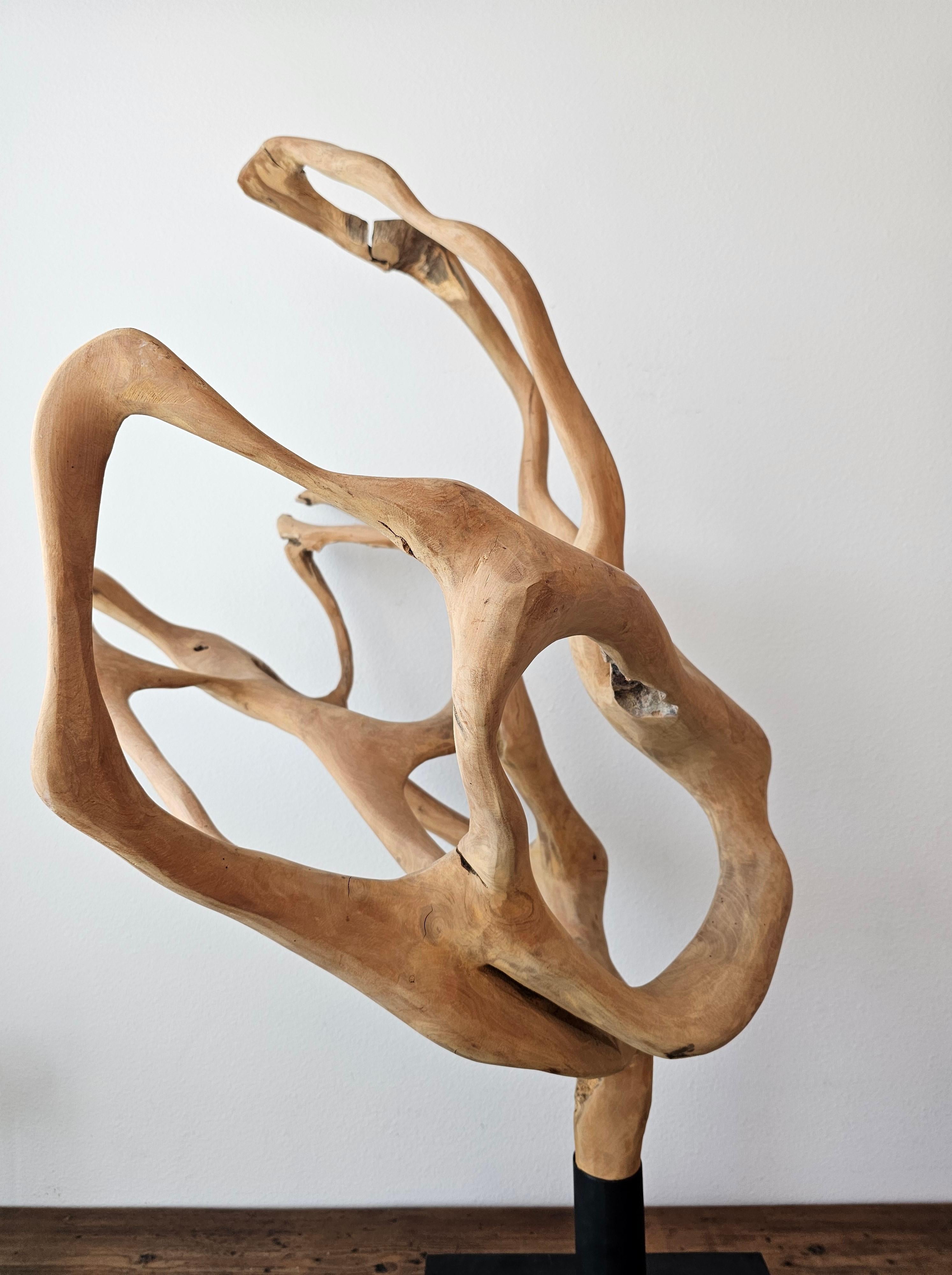 Escultura grande de madera de raíz de teca natural Teca en venta