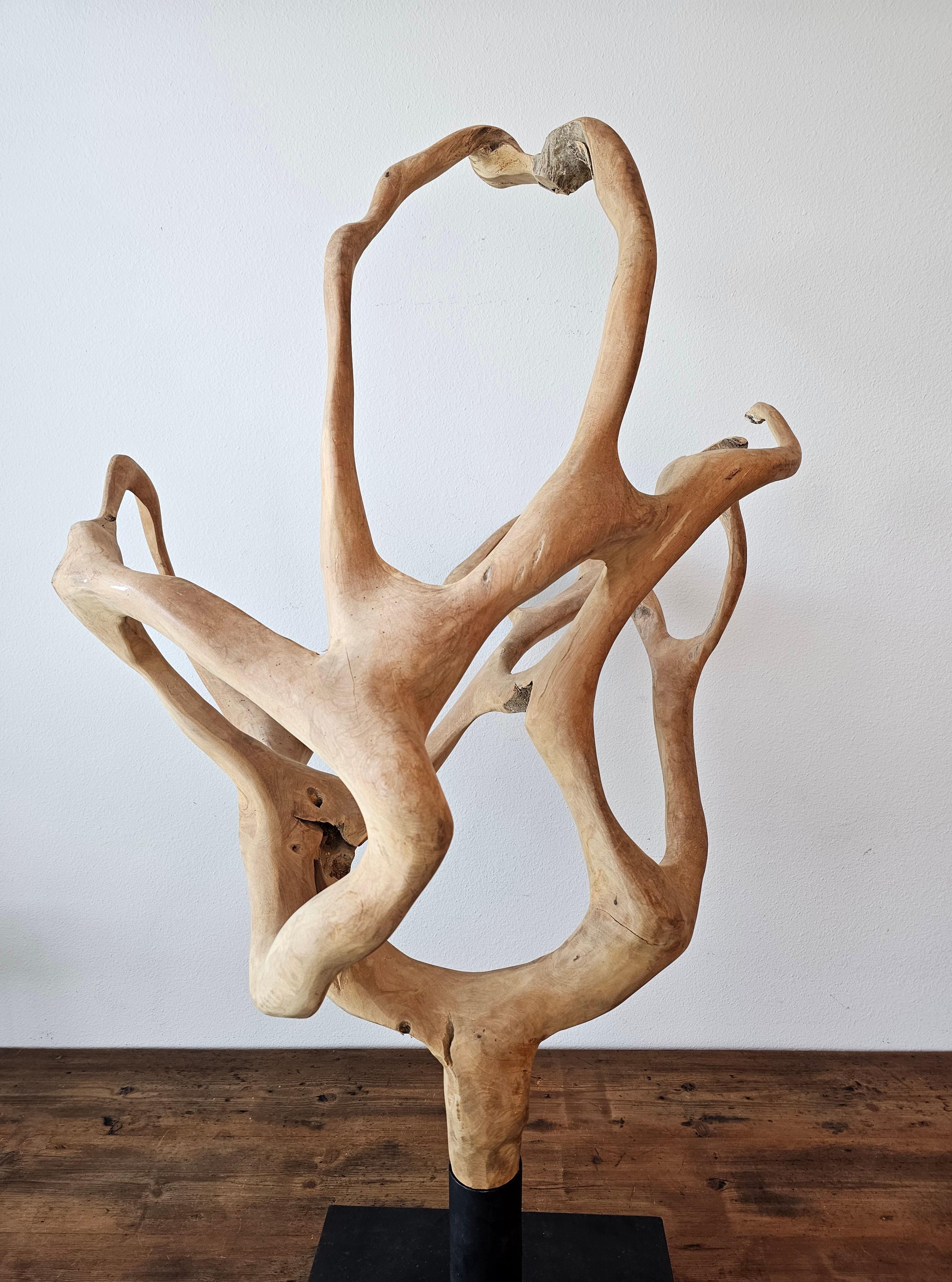 Escultura grande de madera de raíz de teca natural en venta 2