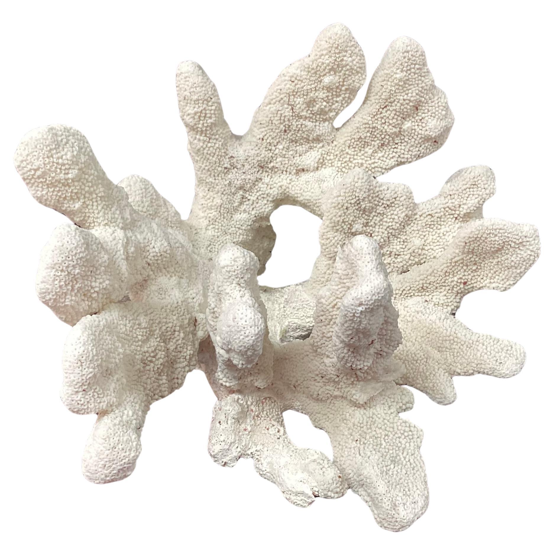 Large Natural White Coral Reef Specimen #4 For Sale 1