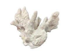 Gran ejemplar de coral blanco natural, siglo XX, estilo orgánico-moderno