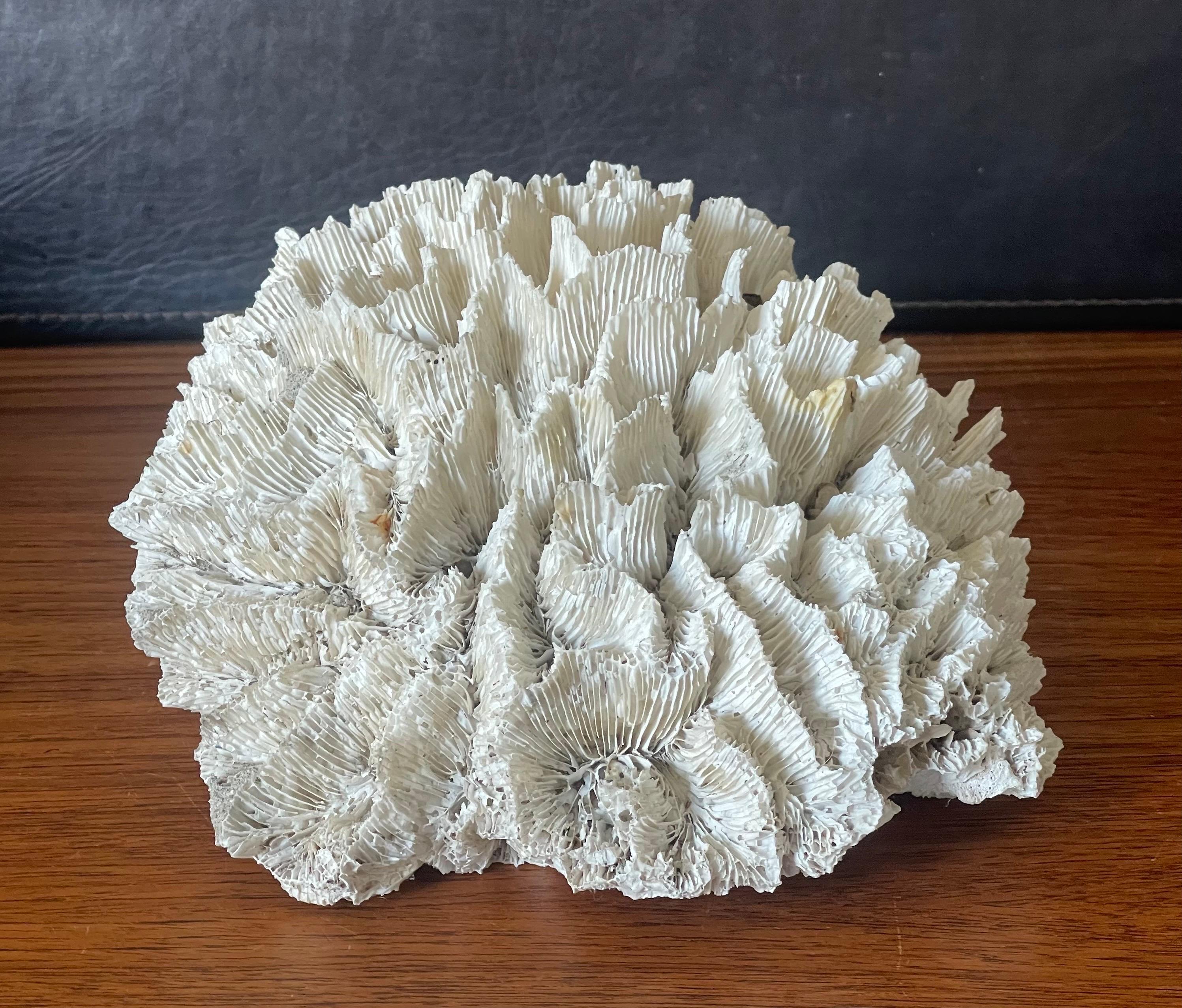 Hollywood Regency Large Natural White Sea Coral Specimen