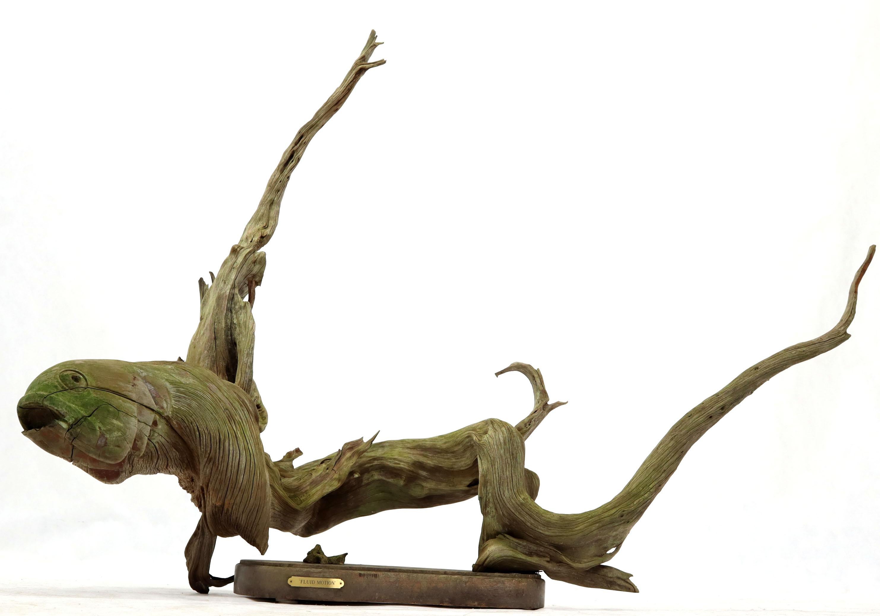 Large Natural Wood Fish Shape Driftwood Sculpture Artist Signed For Sale 3