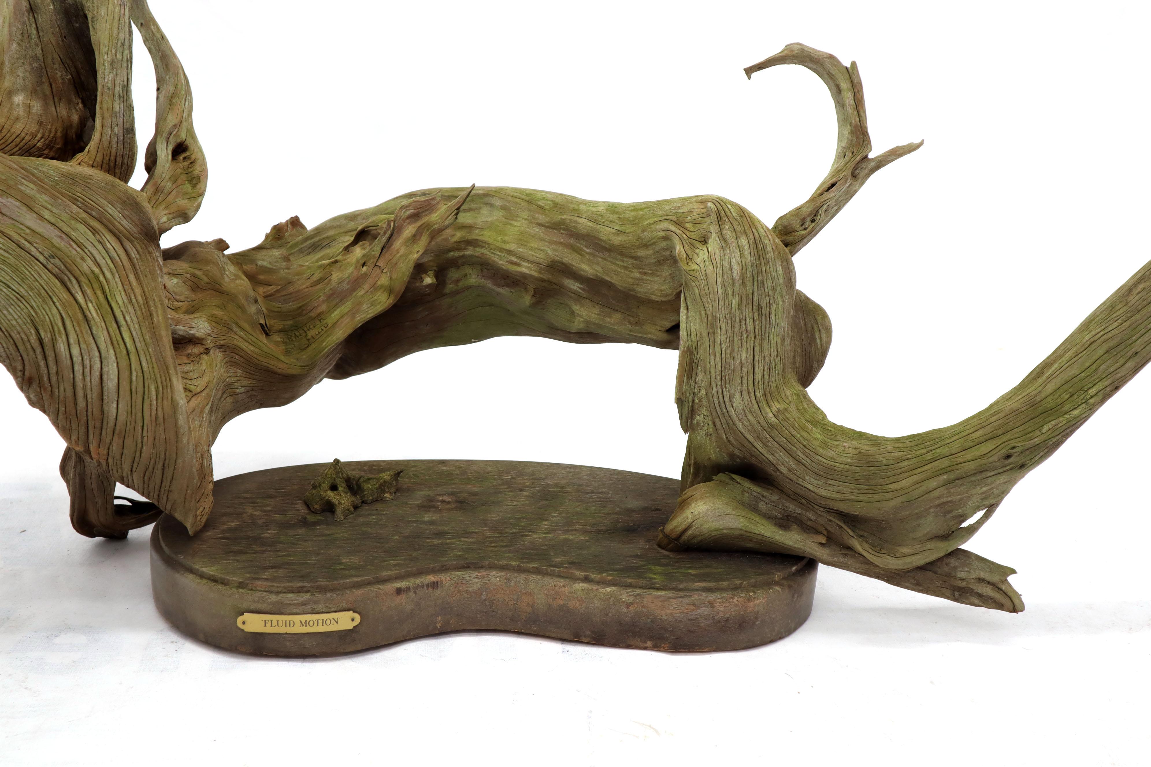 Escultura grande de madera natural de deriva en forma de pez Firmada por el artista en Bueno estado para la venta en Rockaway, NJ