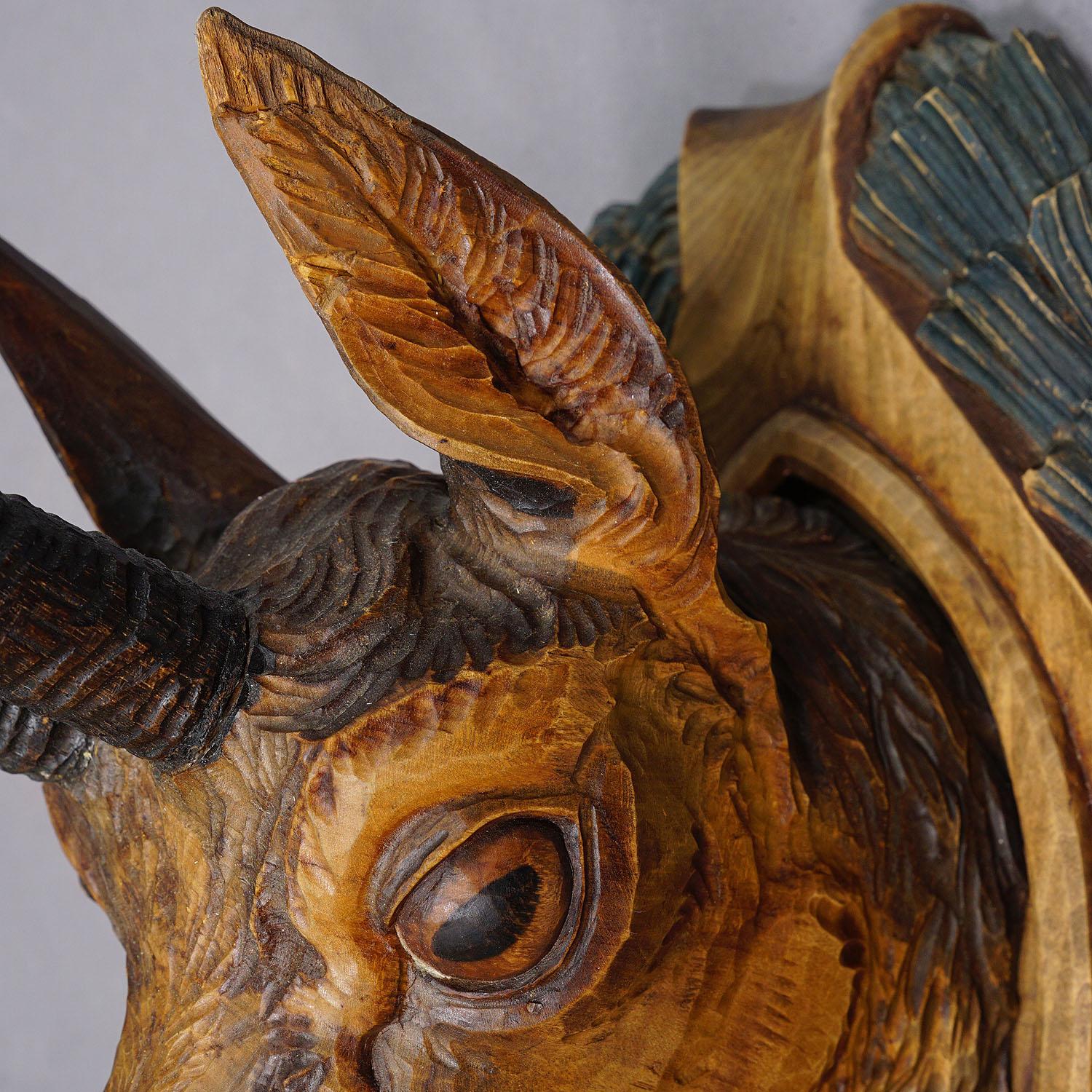 German Large Naturalistic Black Forest Carved Chamois Head, ca. 1930s