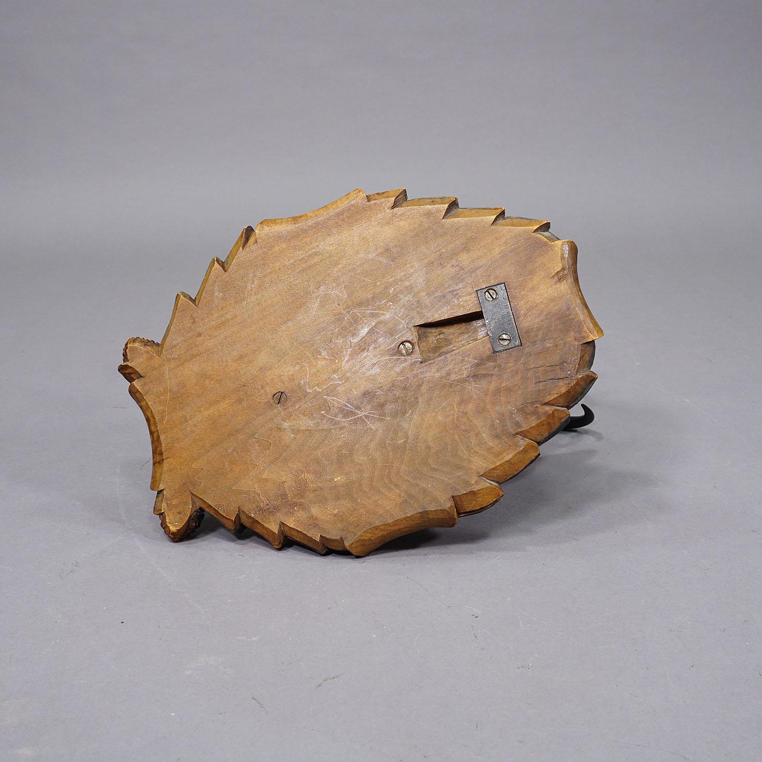 Antler Large Naturalistic Black Forest Carved Chamois Head, ca. 1930s
