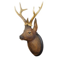 Large Naturalistic Black Forest Carved Deer Head, ca. 1930s