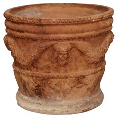 Große neapolitanische Terrakotta-Vase aus den 1800er Jahren mit Verzierungen.