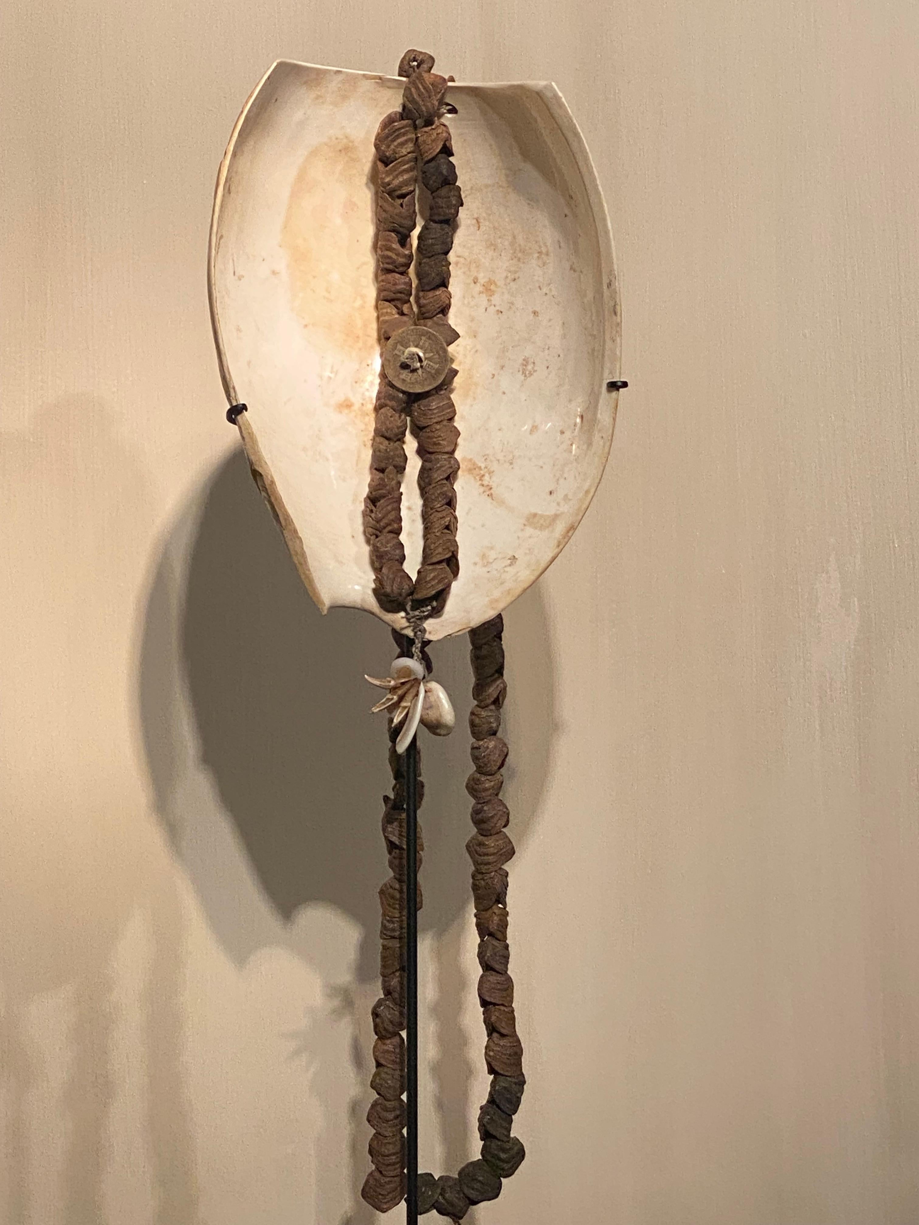 Un precioso collar de concha de Papúa Nueva Guinea,
decorado con una larga cadena de semillas y una moneda de metal,
gran pátina antigua y usada del caparazón,
objeto muy decorativo