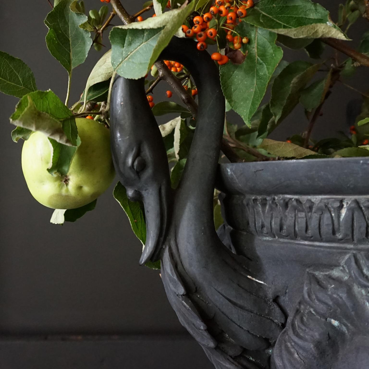 Large Neoclassical Style Blackened Jardiniere Faun Sater Faces and Swan Torso's 3