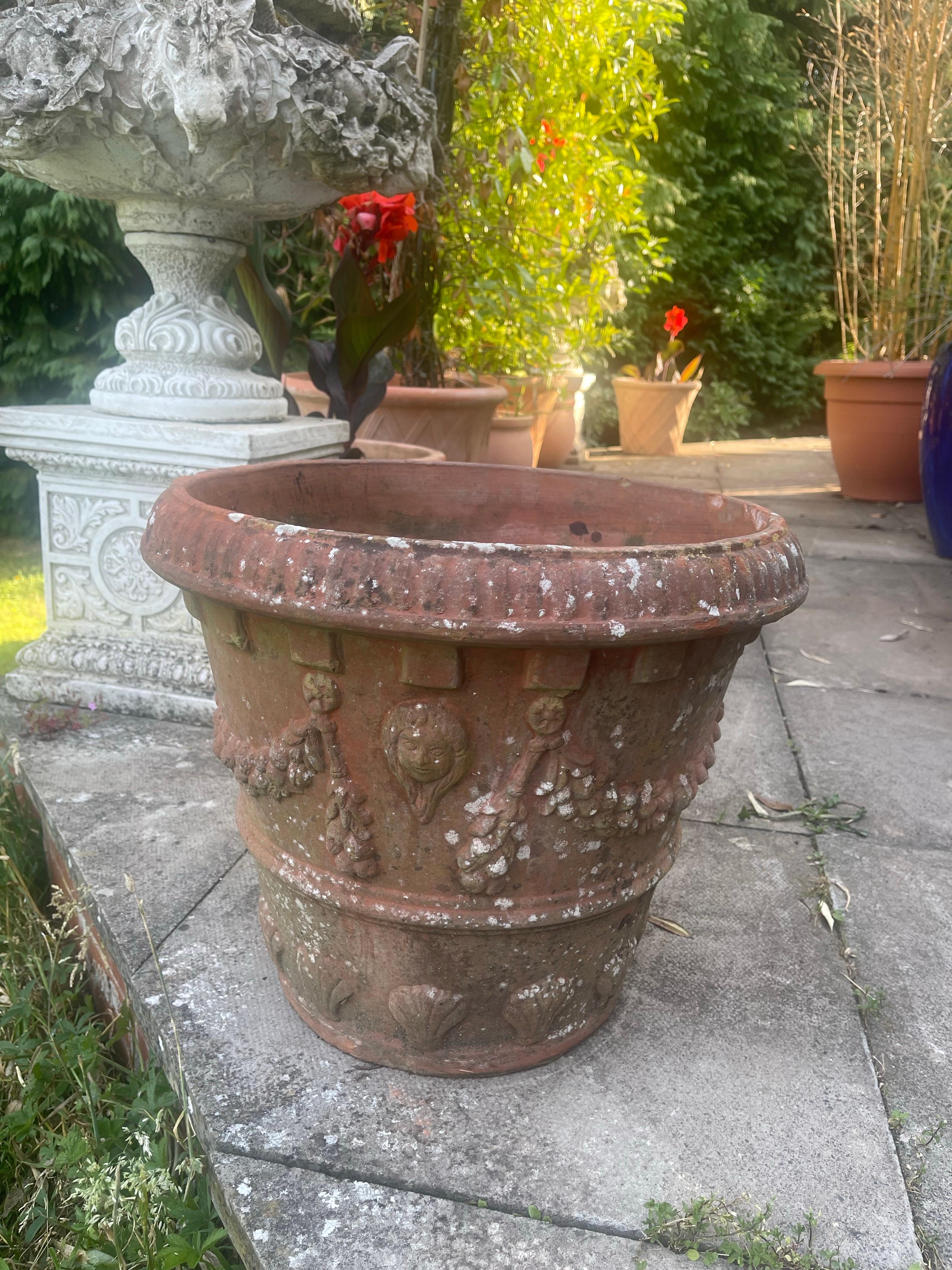 Großer Terrakotta-Gartentopf im neoklassischen Stil (Europäisch) im Angebot
