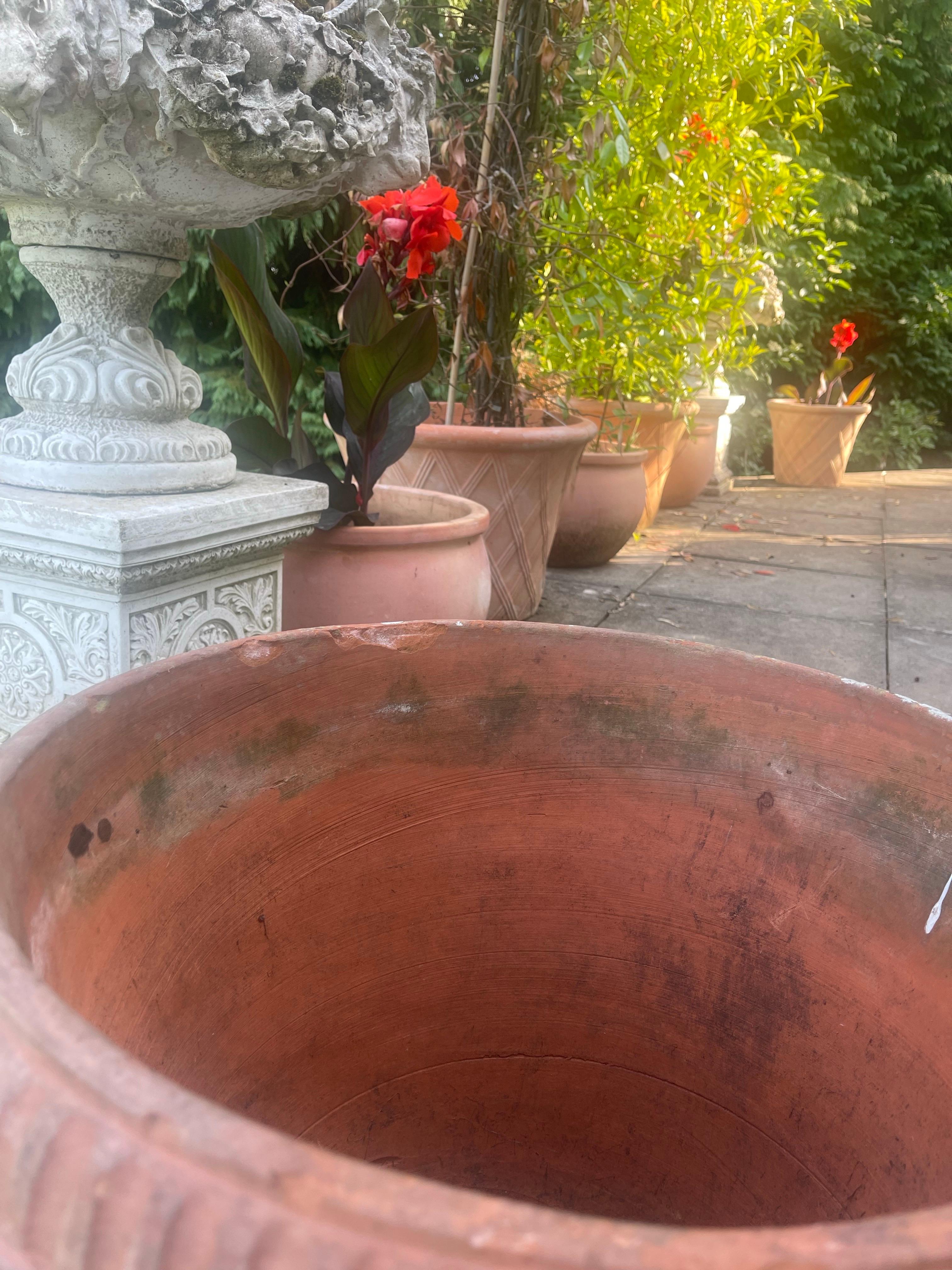 Großer Terrakotta-Gartentopf im neoklassischen Stil im Angebot 3