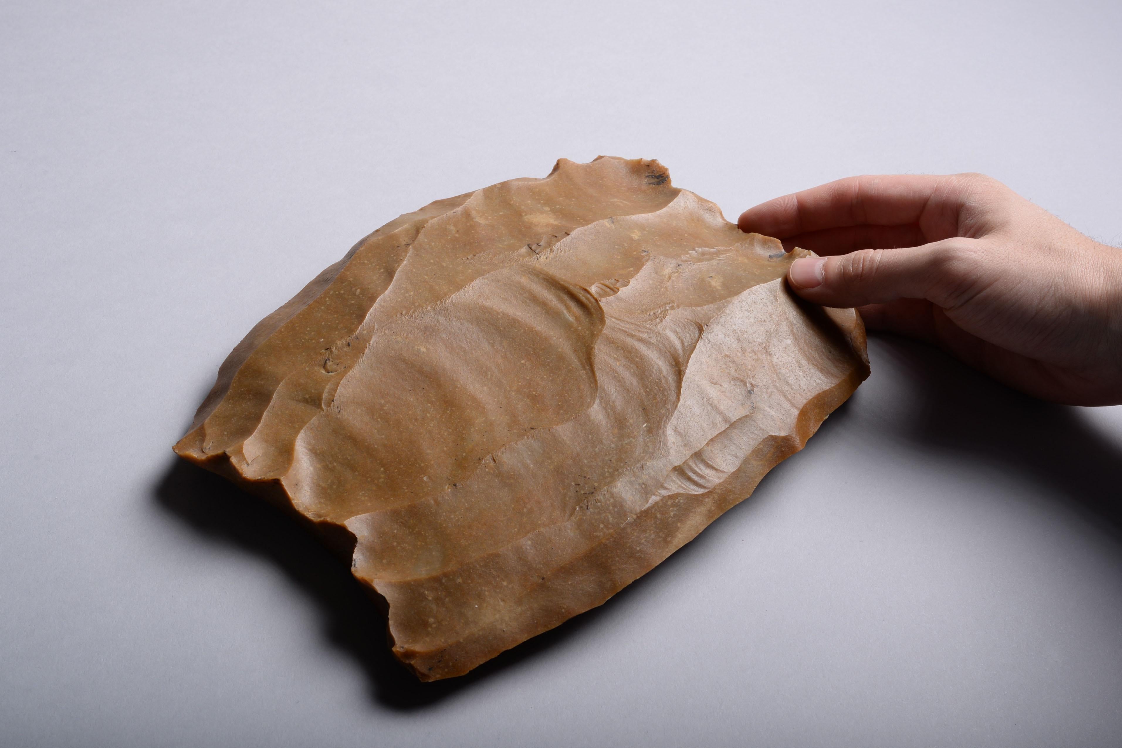 A large Neolithic flint core from the Loire Valley, France, dating to 8500-4500 BC.

A substantial block of caramel colored flint, the surface covered with ripples left from individual strikes; each creating a distinct flint blade or