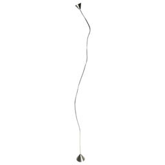 Large Nickel Papiro Floor Lamp by Sergio Calatroni for Pallucco, Italia