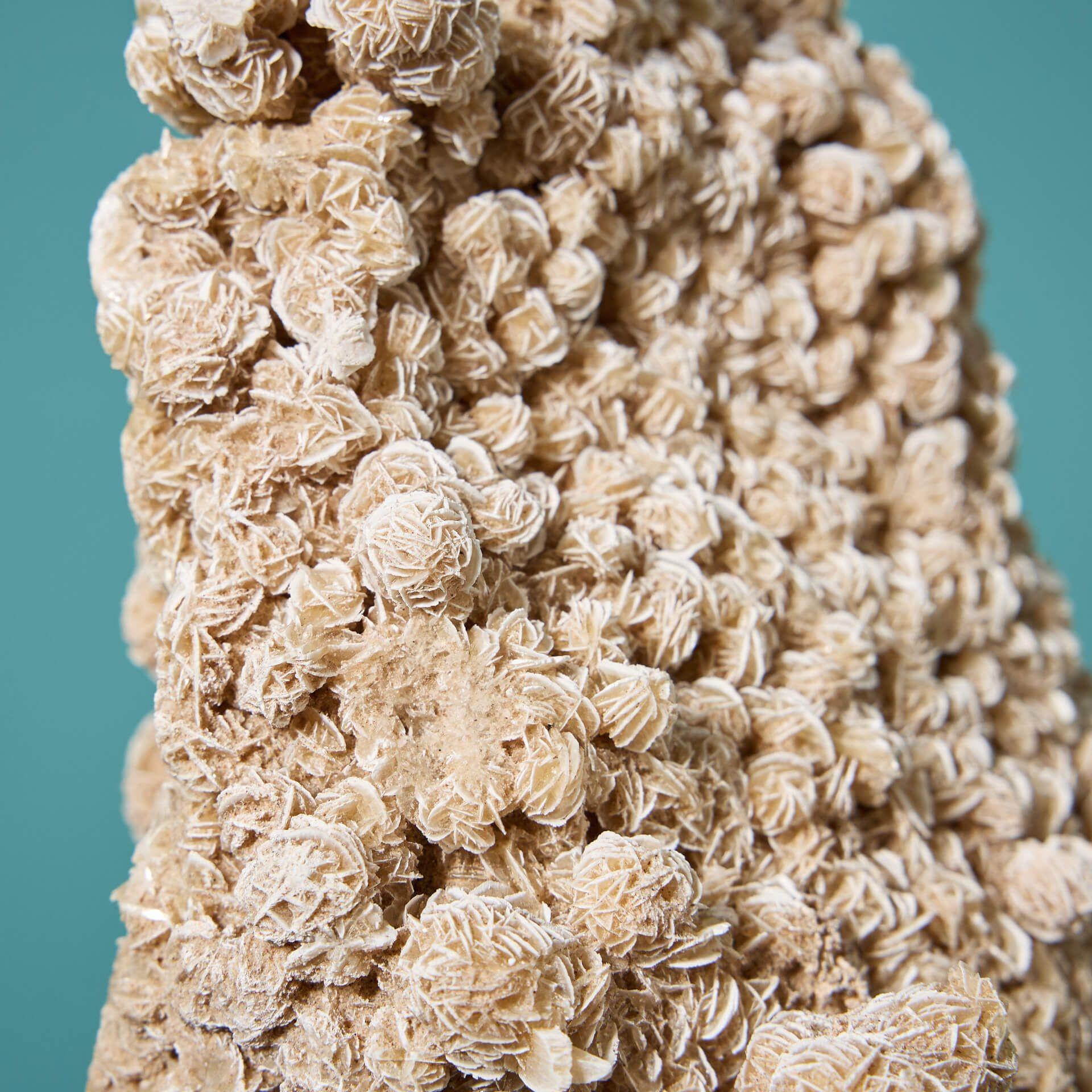 Large North African Selenite Desert Rose Crystal Specimen For Sale 3
