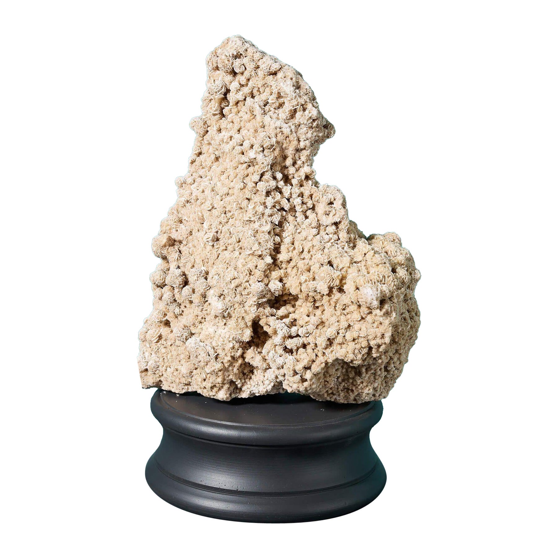 Large North African Selenite Desert Rose Crystal Specimen For Sale