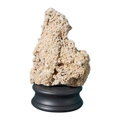 Large North African Selenite Desert Rose Crystal Specimen
