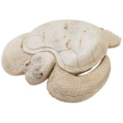 Large North American Moose Antler Carving of Turtle