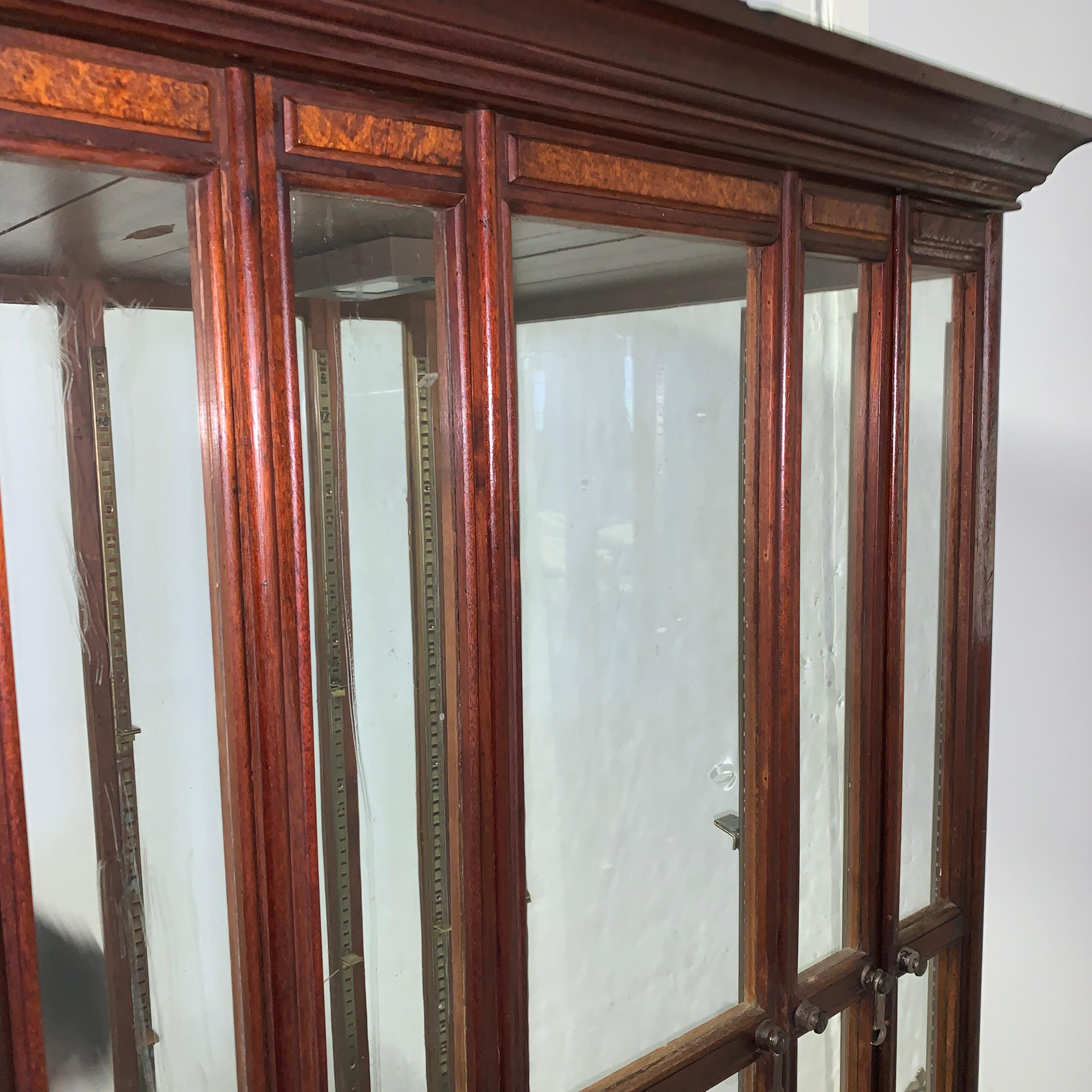 Large Oak 4 Fan Ribbon Display Cabinet on Later Stand 2